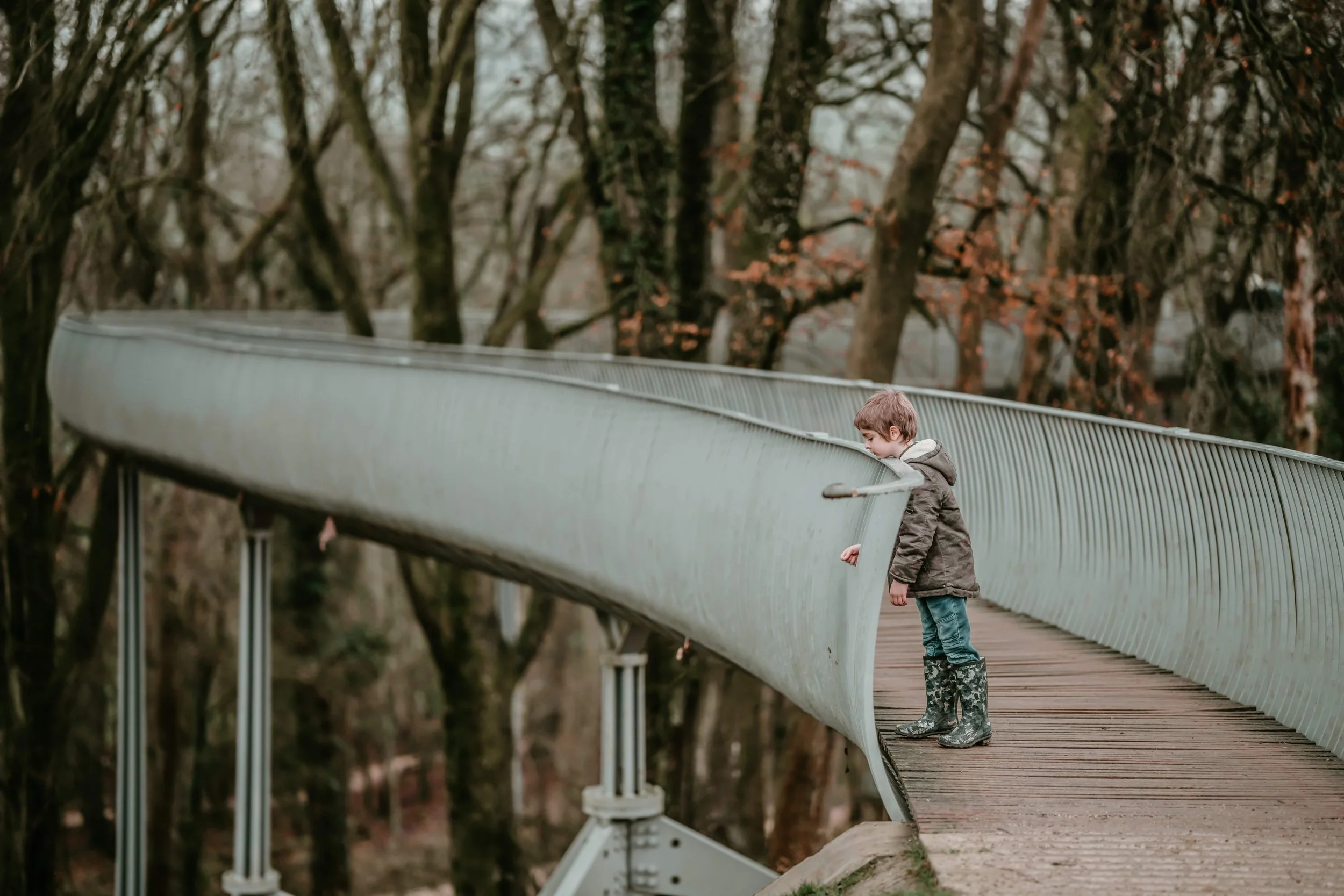 Autumn Ambling 7-min.jpg