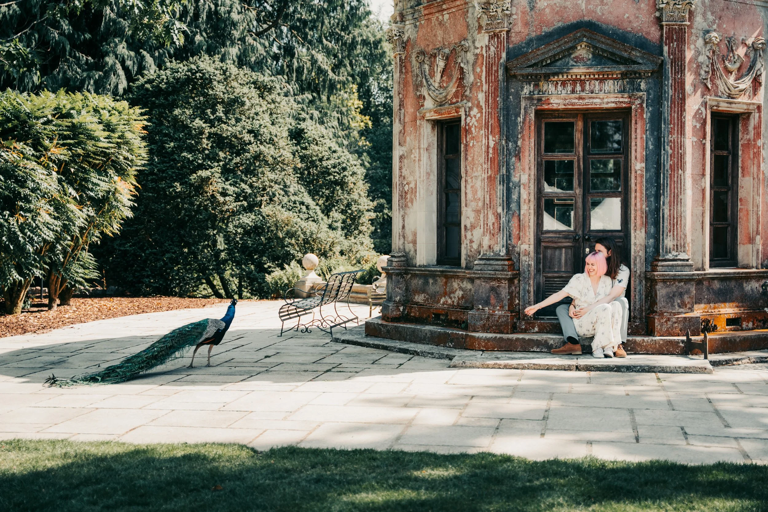 Ultimate Full-Day Experience