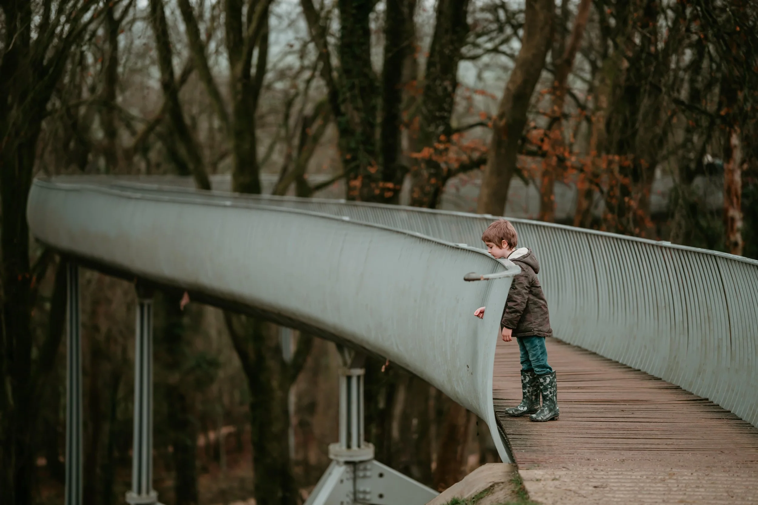 Autumn Ambling 1-min.jpg