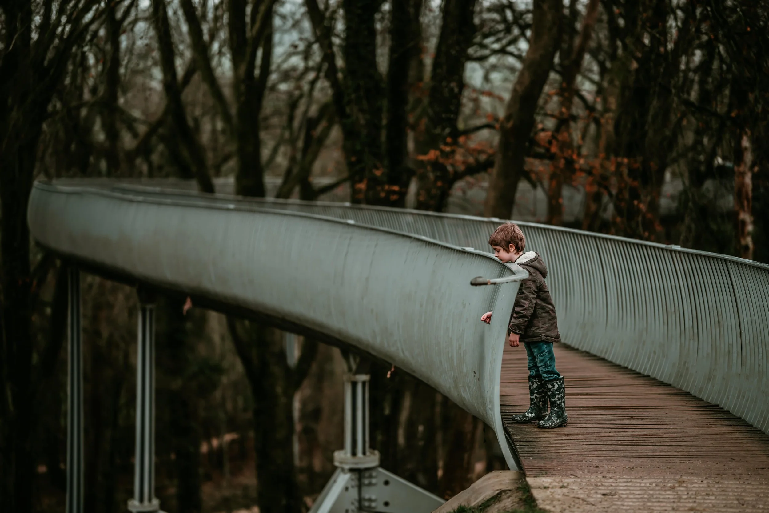 Autumn Ambling 4-min.jpg