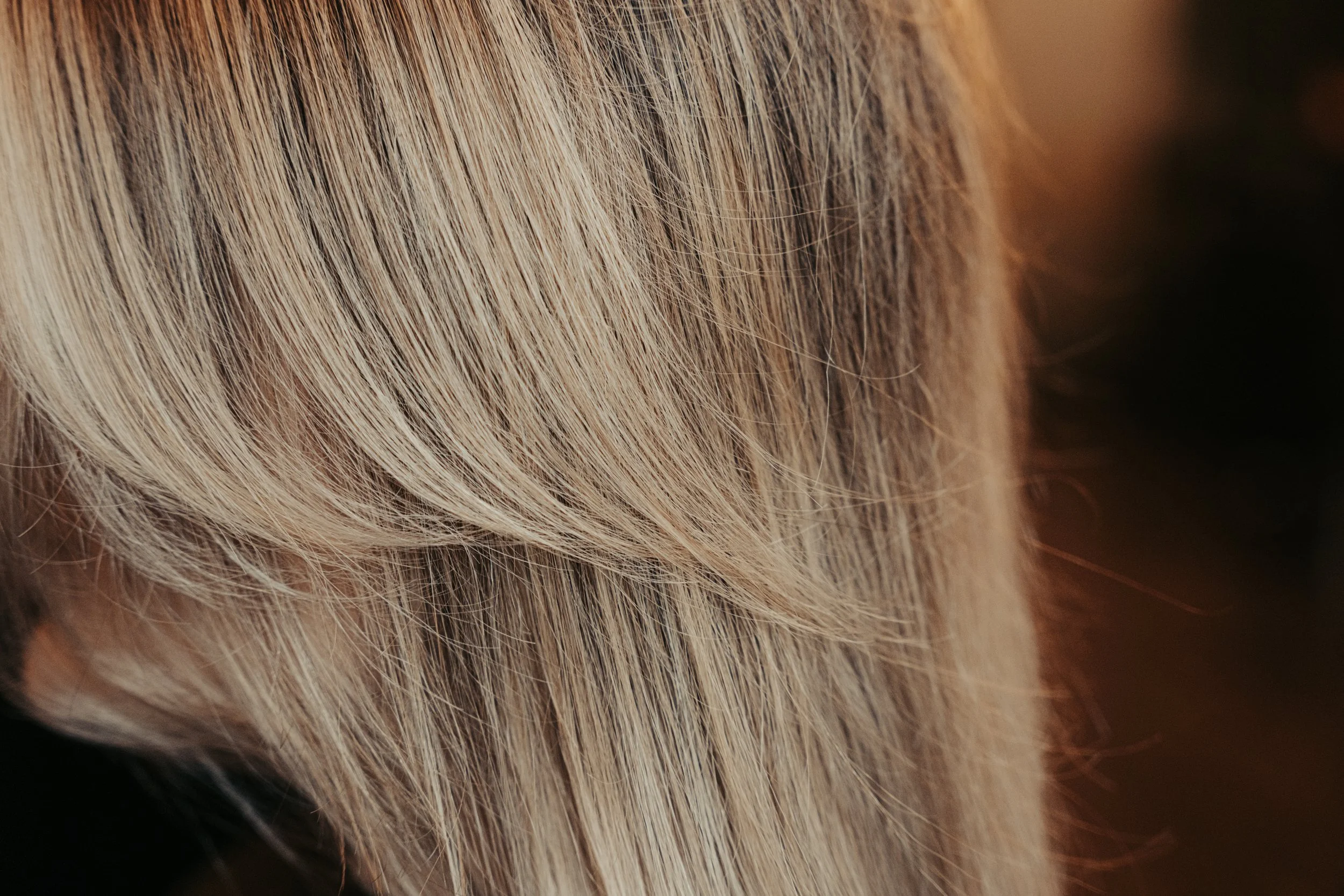 Signature Business Package