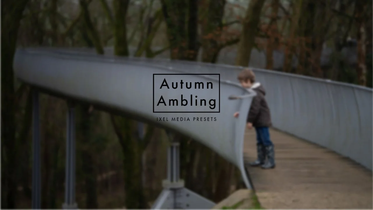 Autumn Ambling Preset Pack