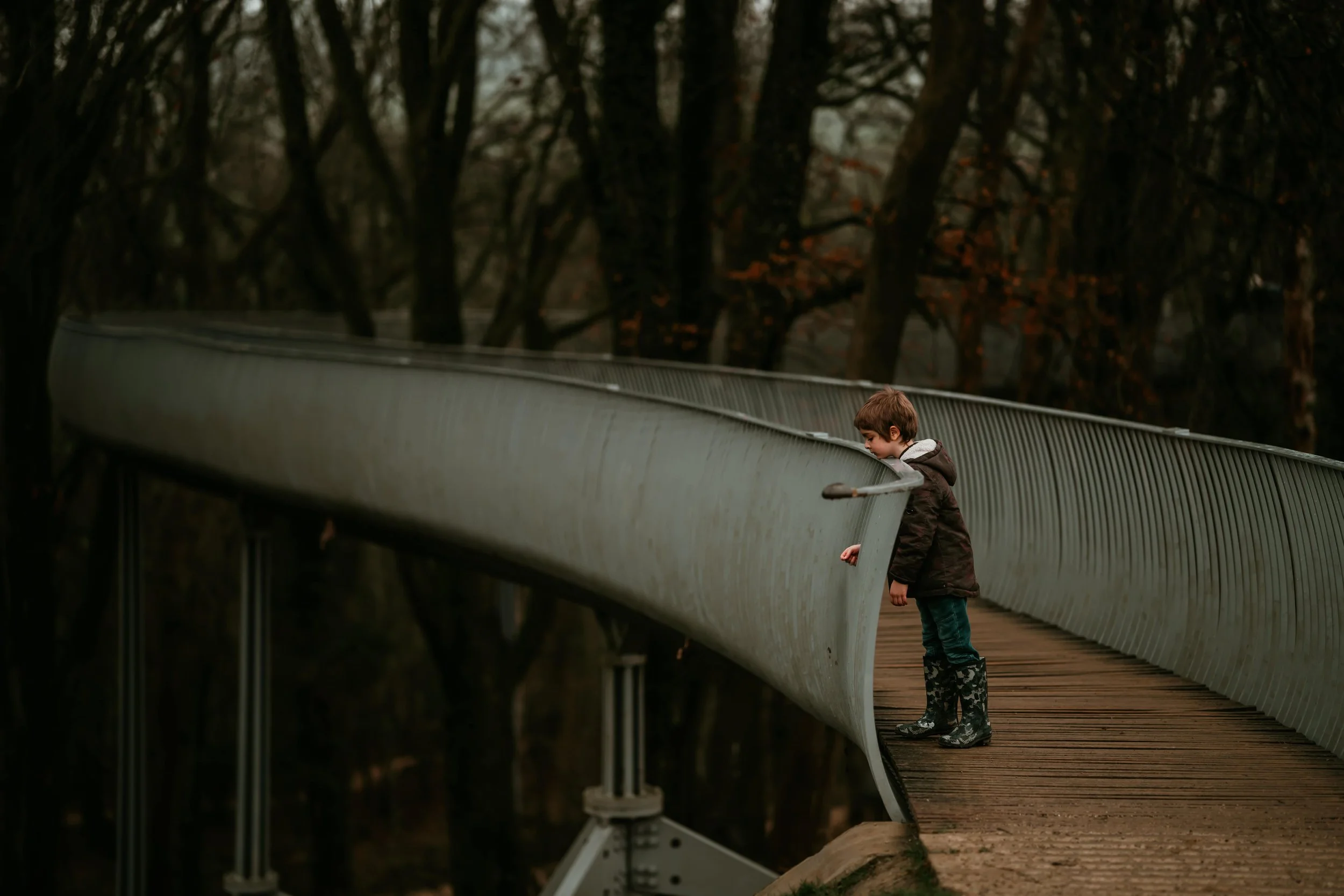 Autumn Ambling 3-min.jpg