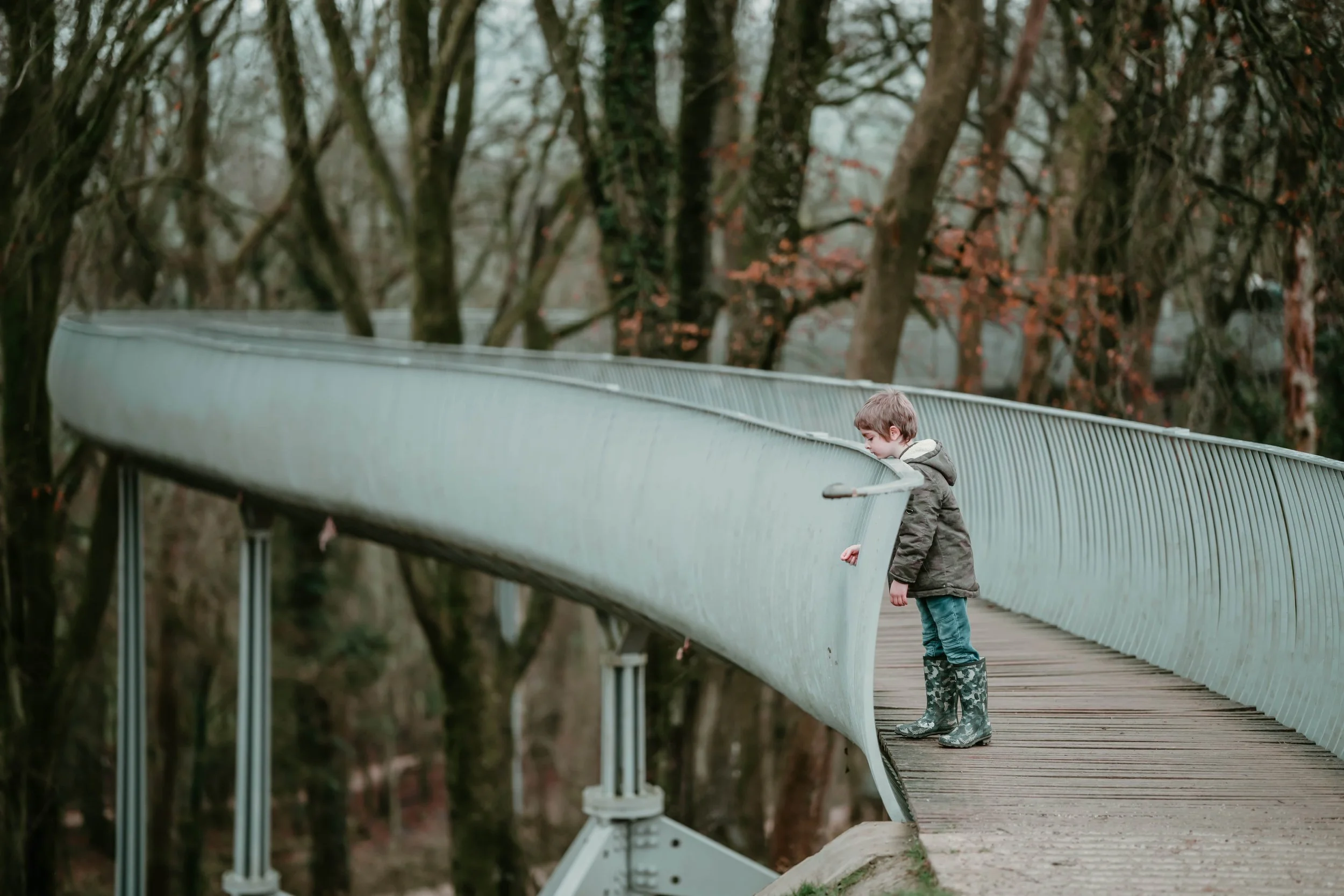 Autumn Ambling 5-min.jpg