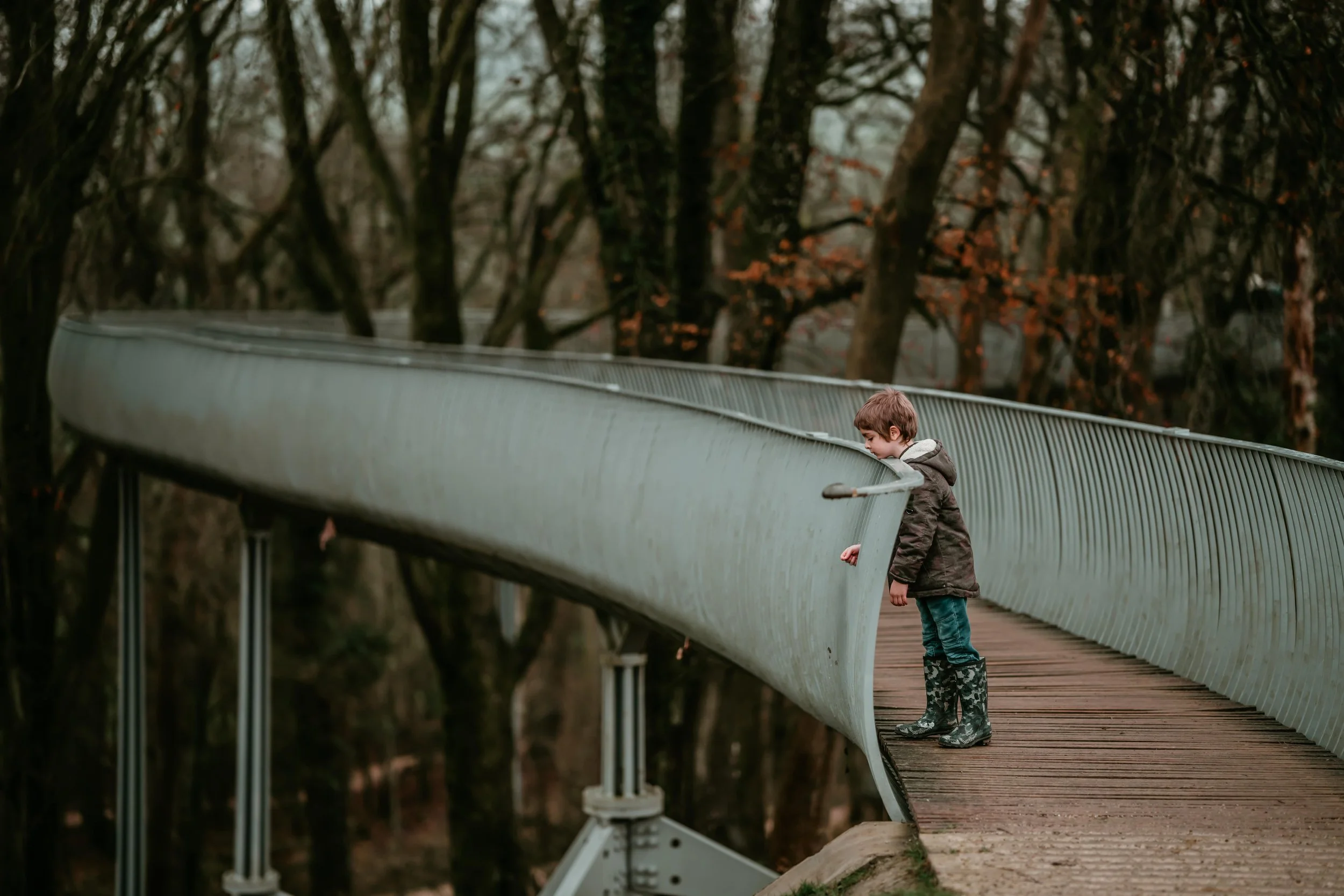 Autumn Ambling 2-min.jpg