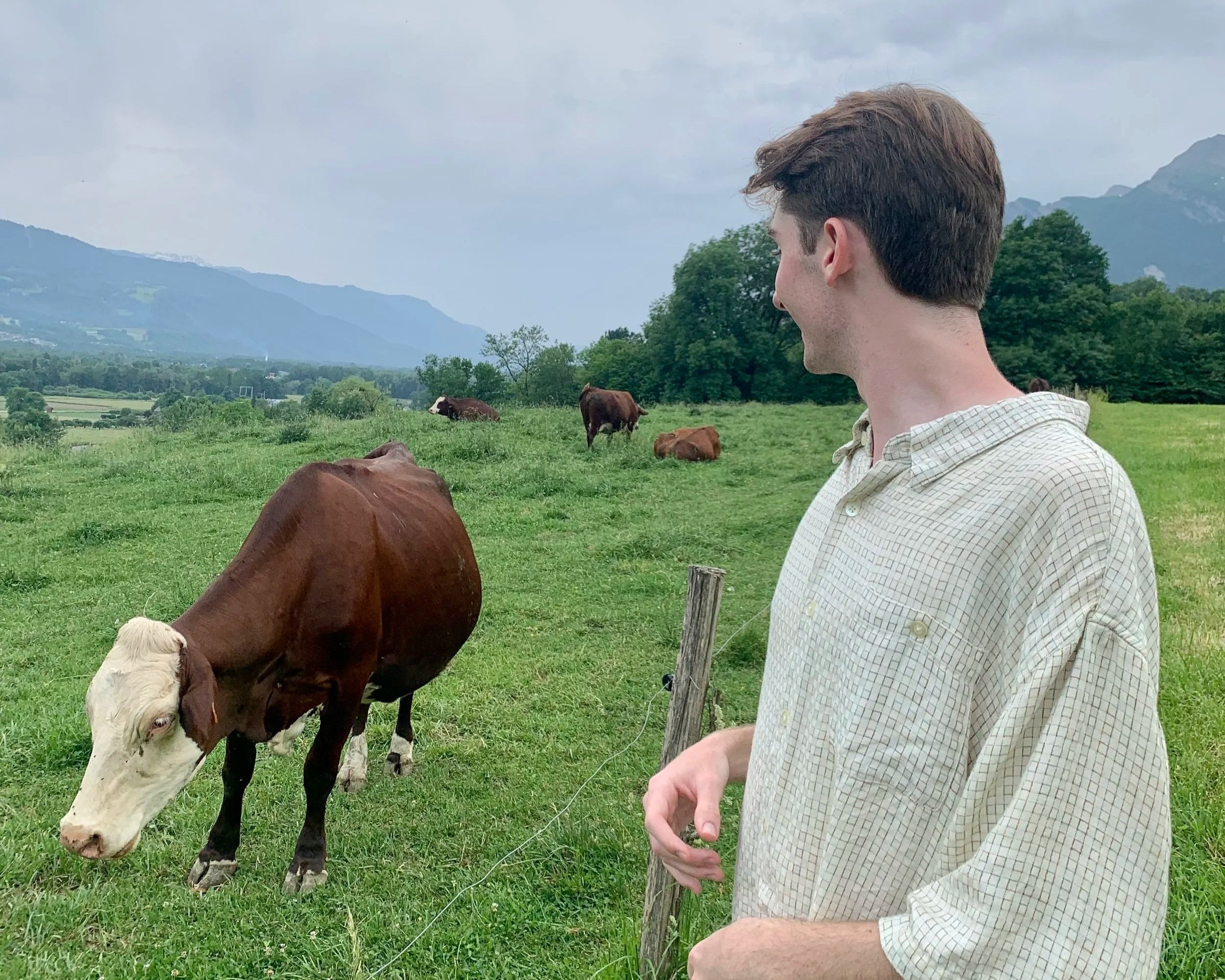 Joseph admiring a cow in Albertville