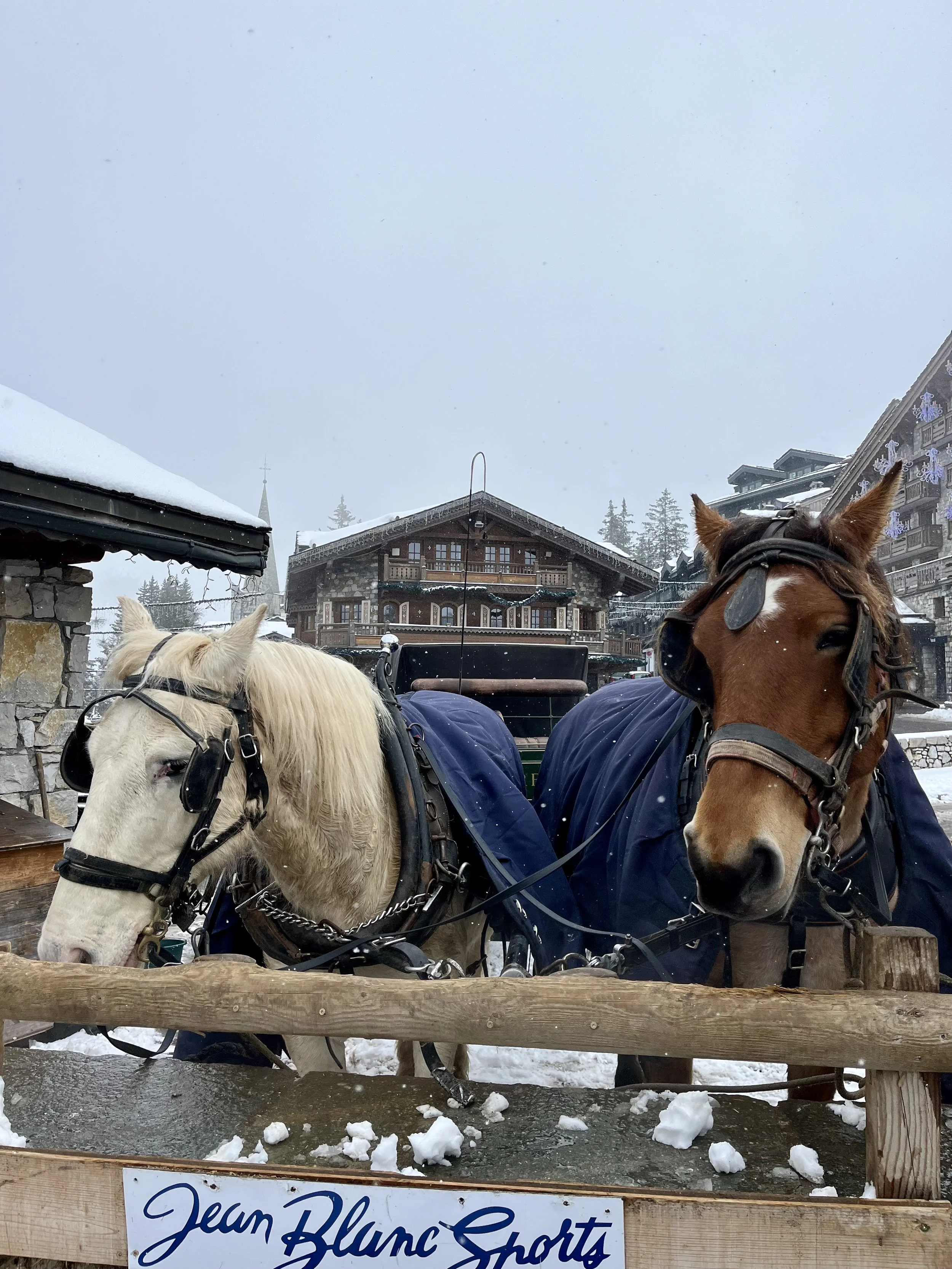 Horses in Courchevel.