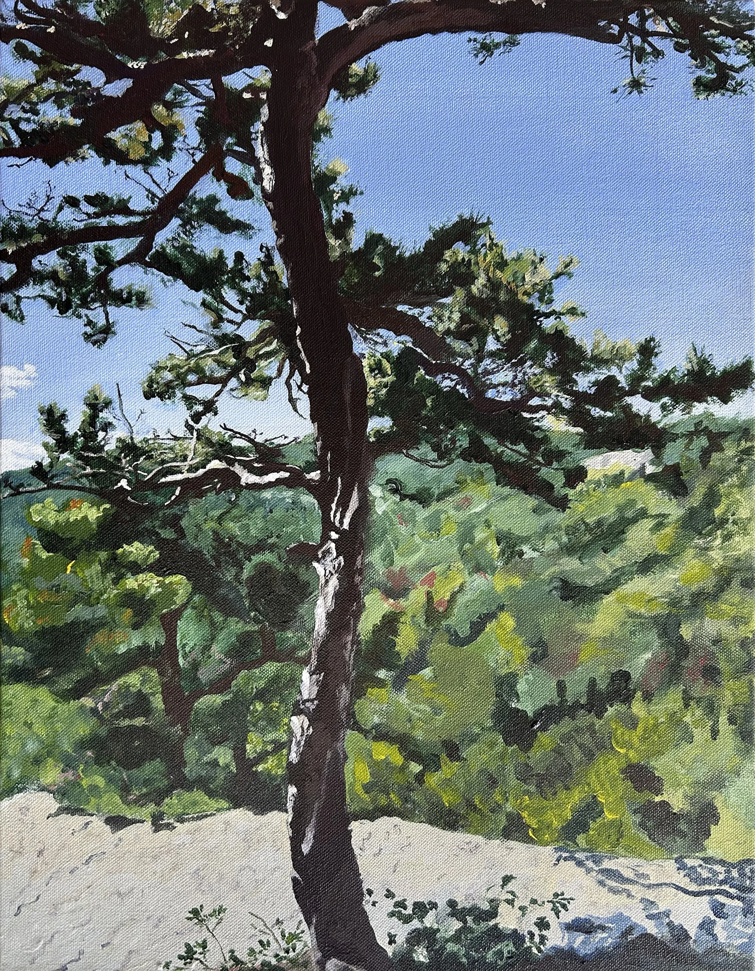 Minnewaska 
Acrylic on Canvas
2026