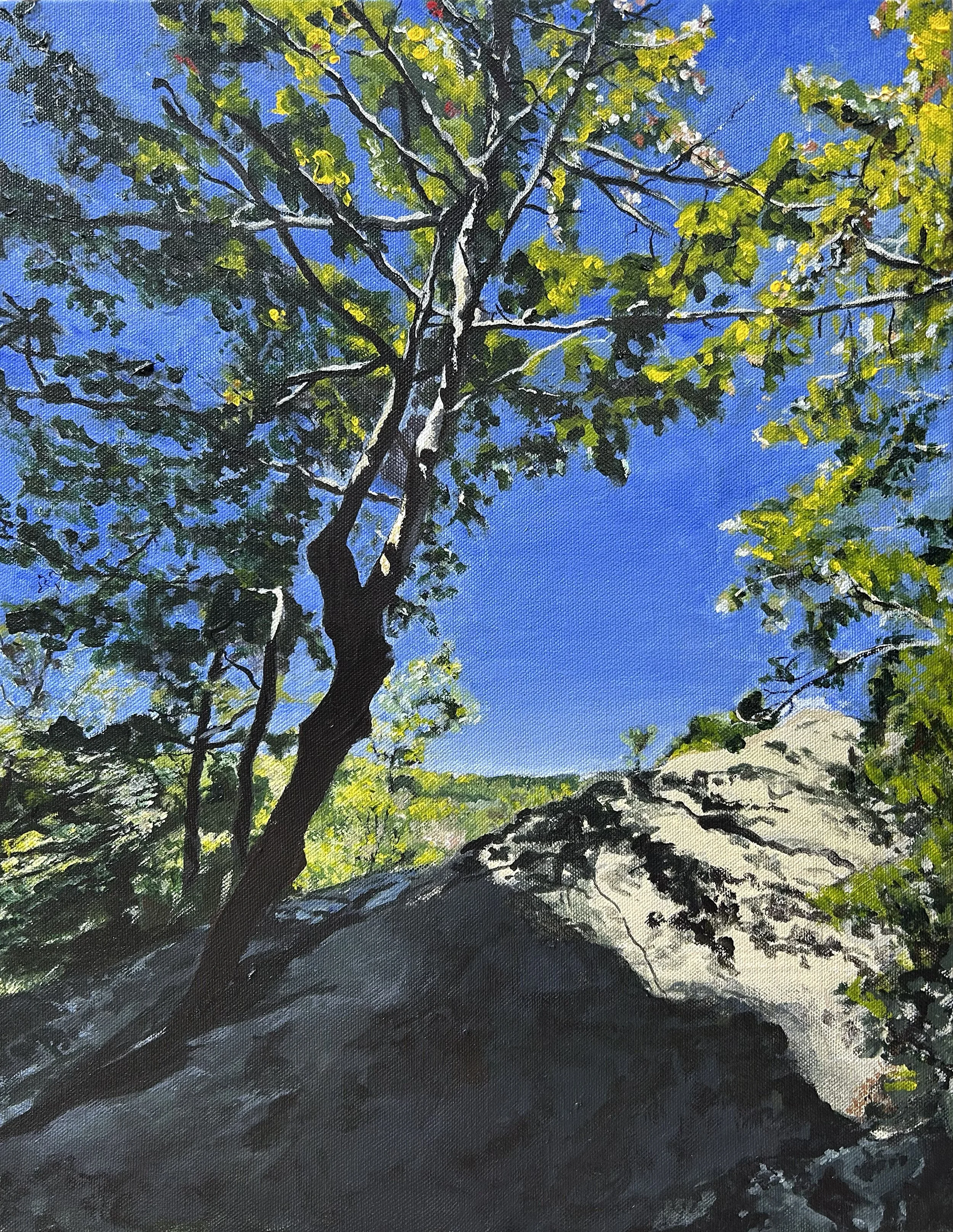 Minnewaska
Acrylic on Canvas
2026