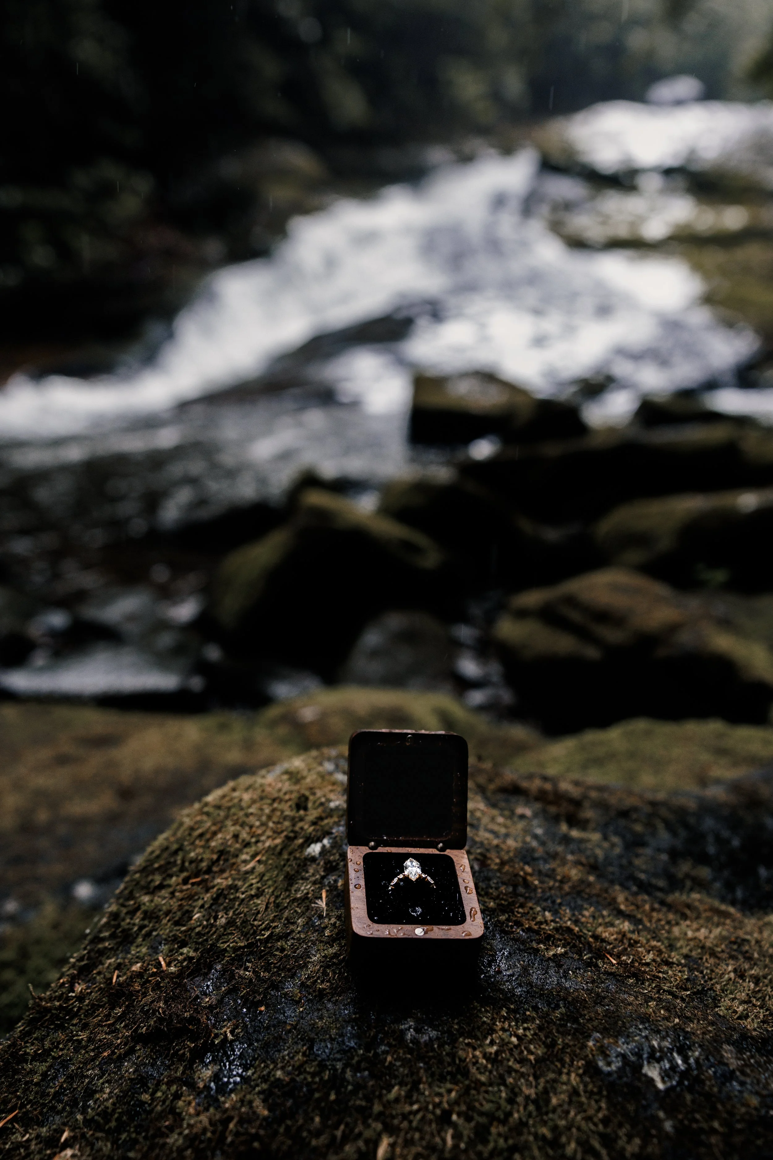 JB2P0515-6.jpg