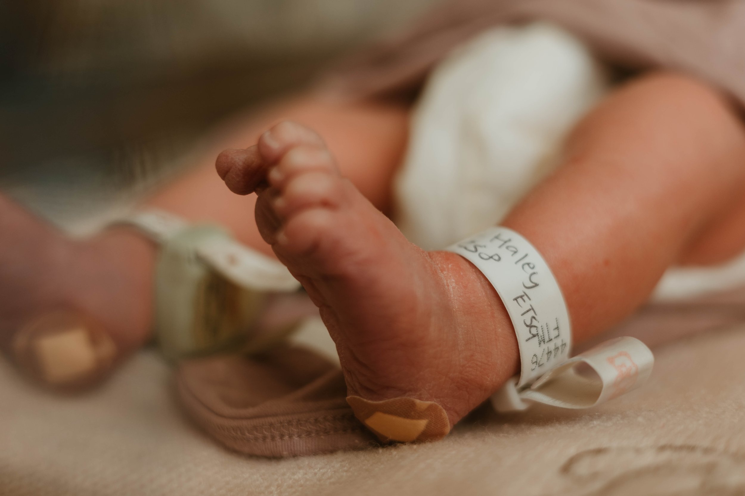 Ariella Marie 36  (1 of 1).jpg