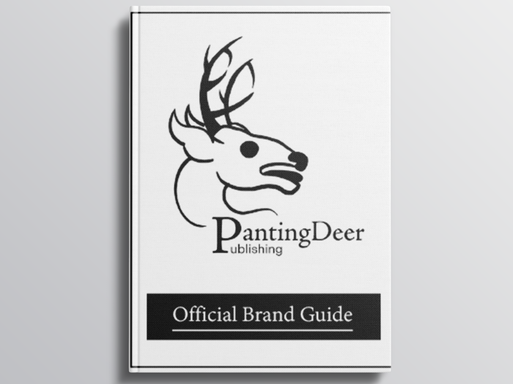 Logo Brand Guide (click for full guide)