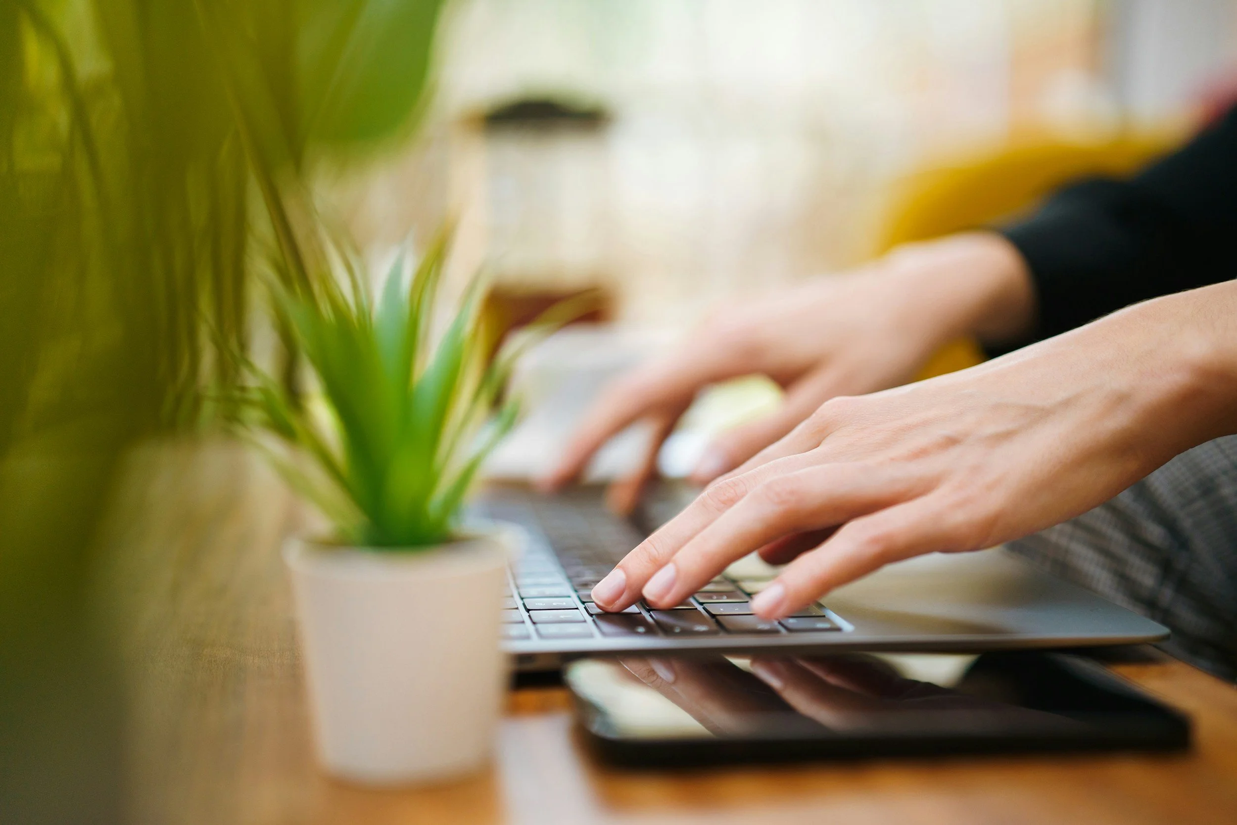 Close-up of a person typing on a laptop keyboard with a small potted plant in the foreground on a wooden desk.