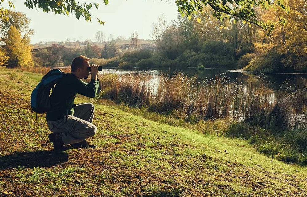 How S250 Binoculars Enhance Bird Watching Across Every Landscape