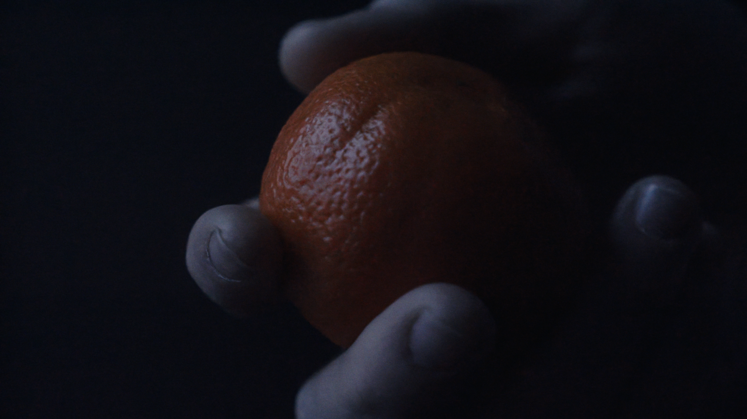 Screenshot 2026-03-16 at 7.49.33 PM.png