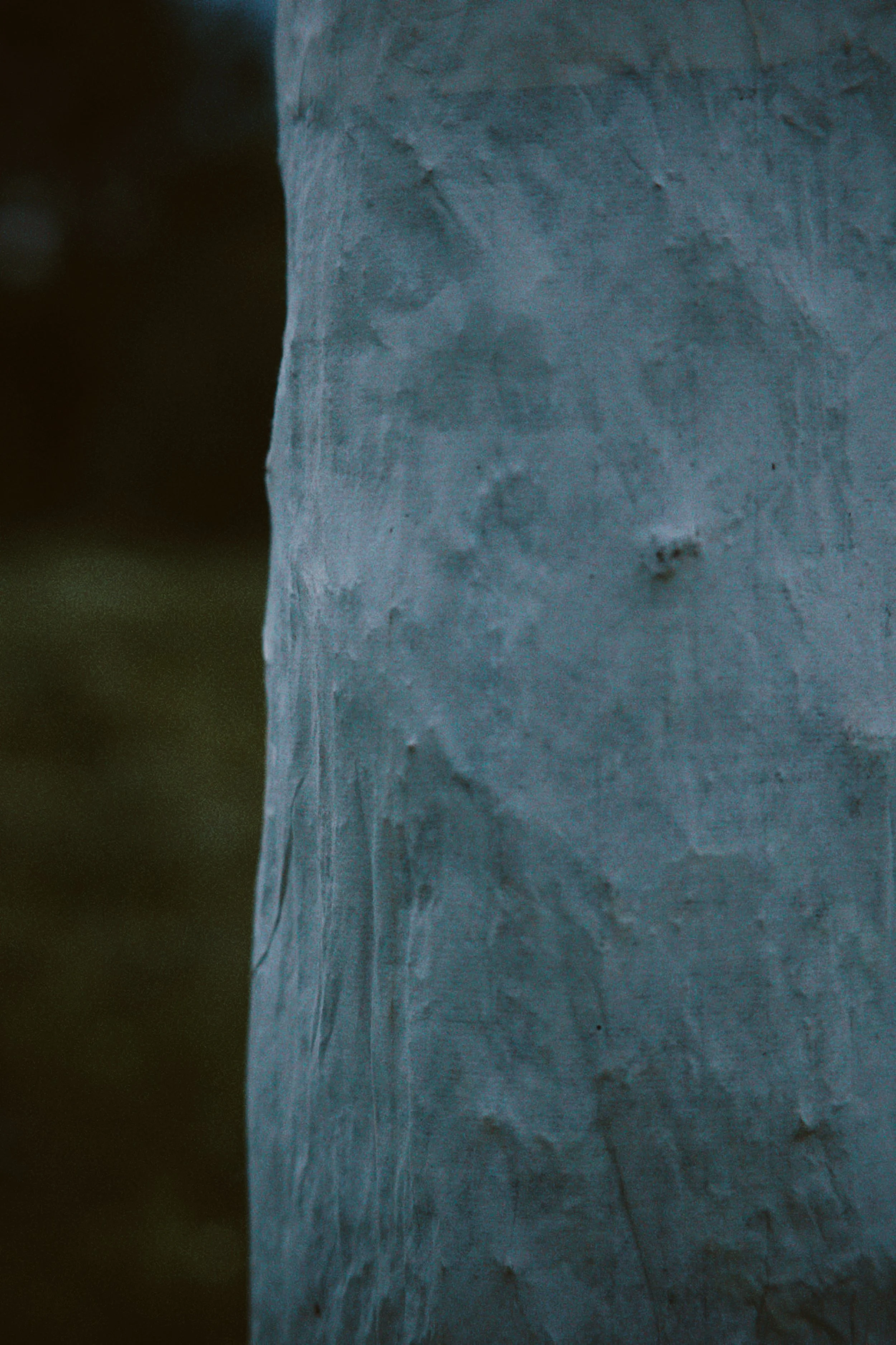 dfuns 2024-08-31 215926.642.jpg