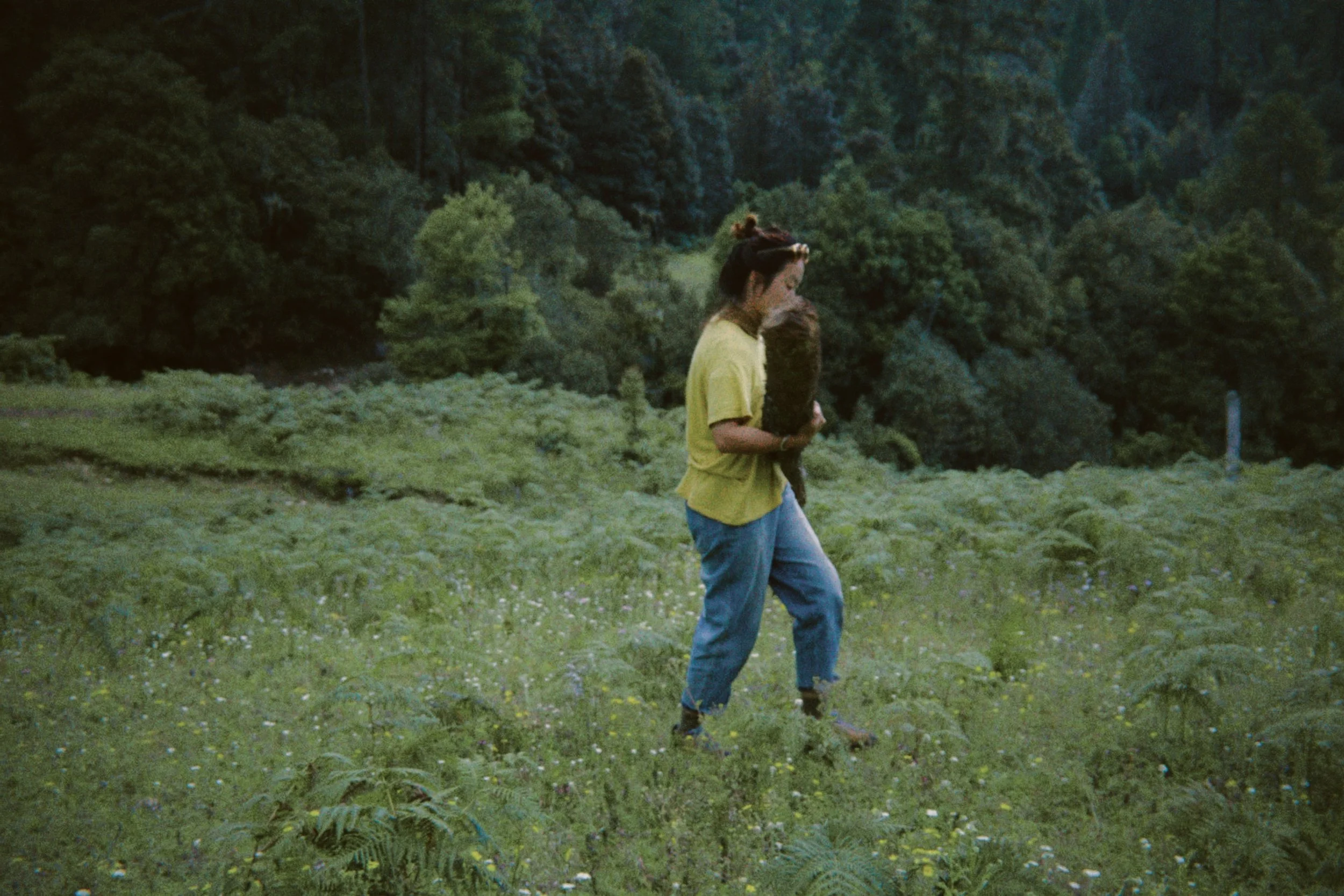 dfuns 2024-08-31 220231.326.jpg