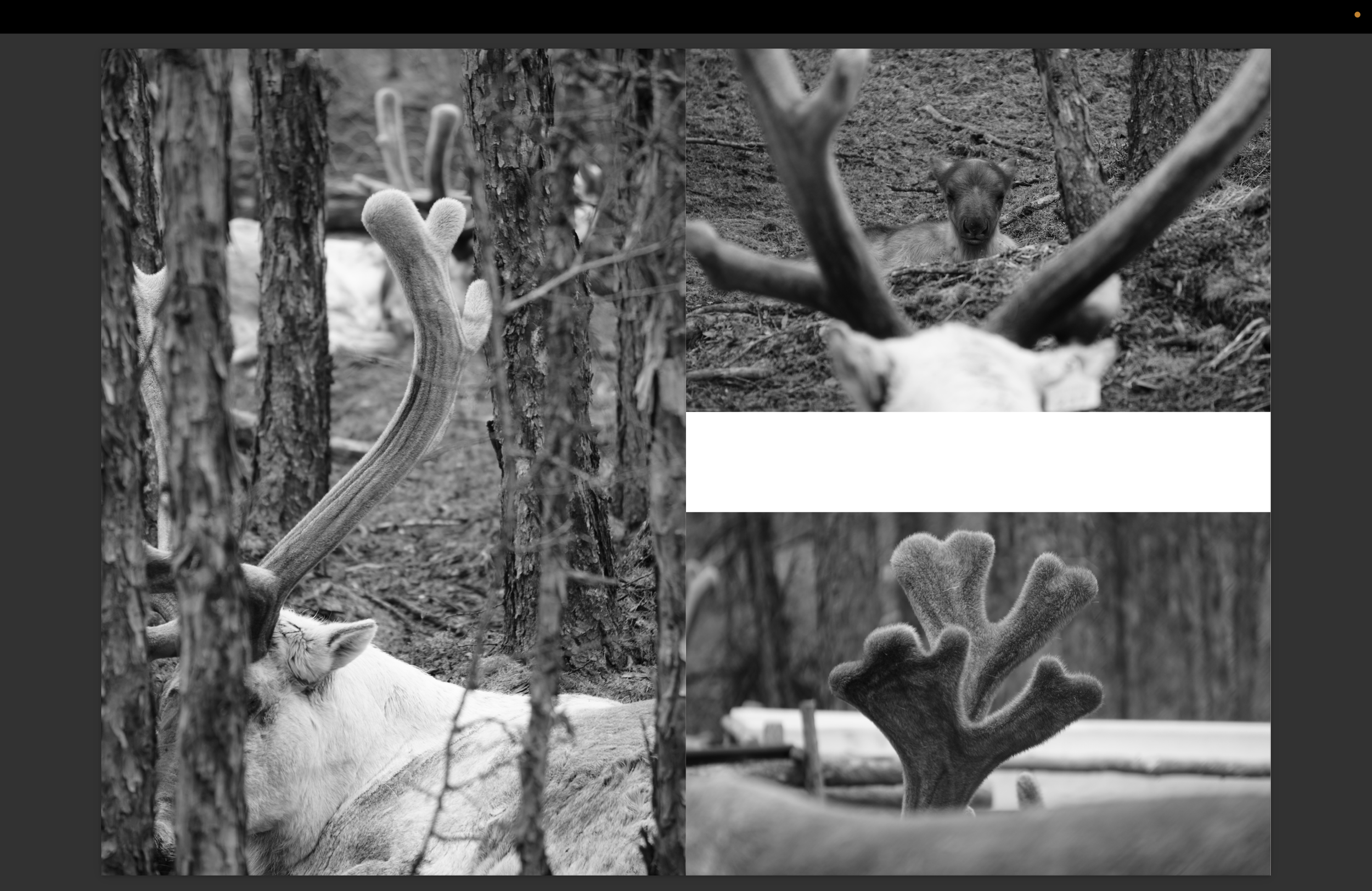 Screenshot 2026-02-04 at 16.49.57.png