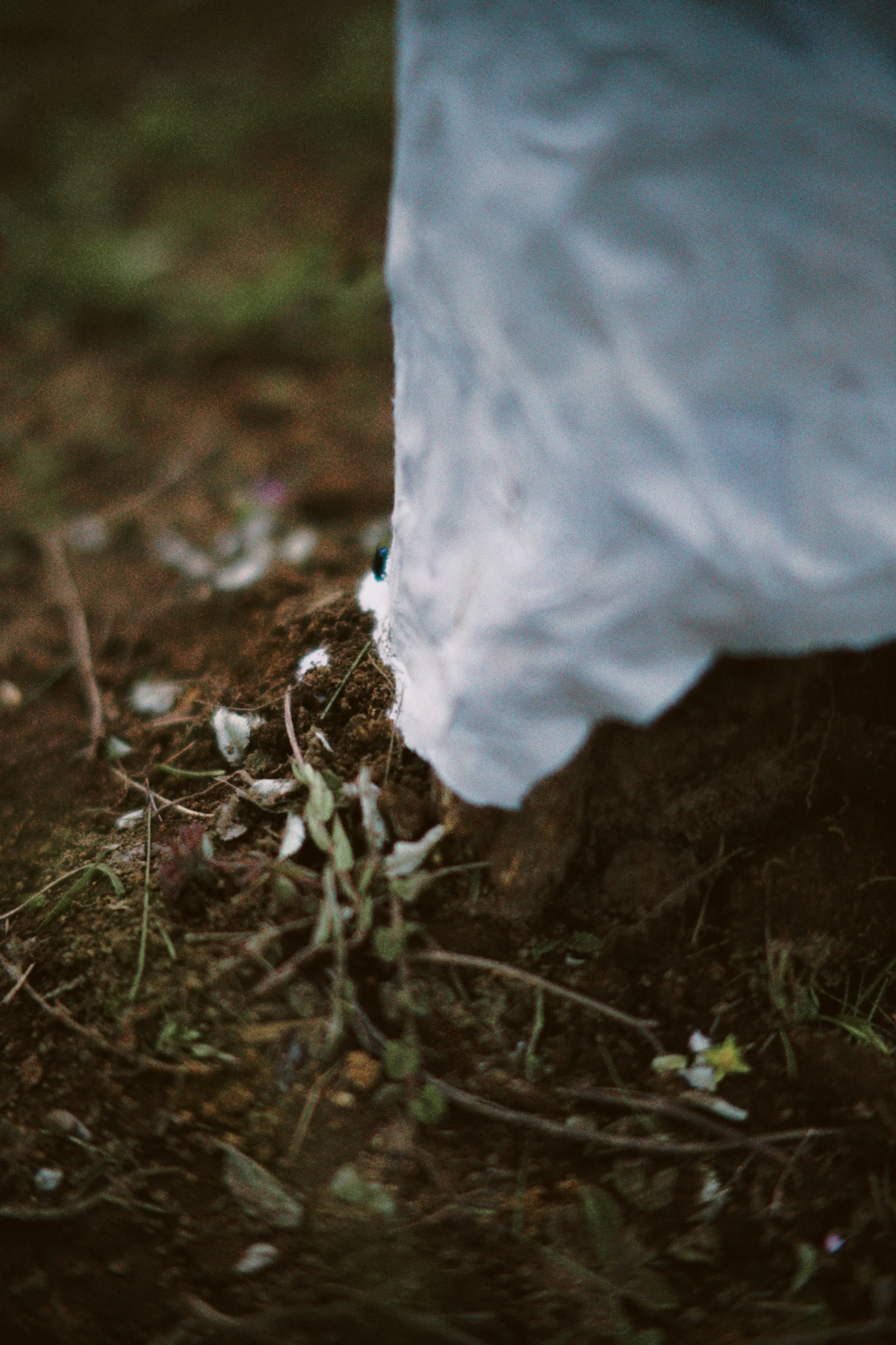 dfuns 2024-08-31 220052.733.jpg