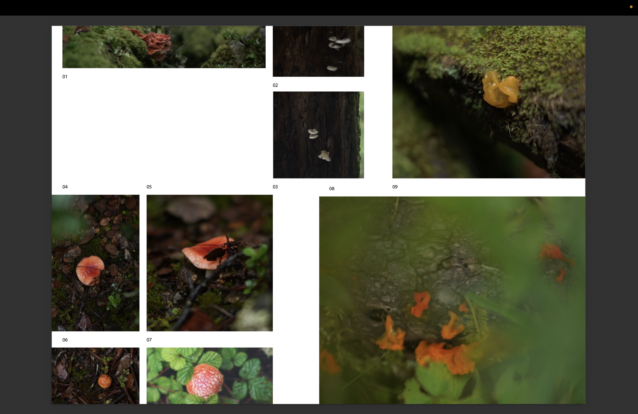 Screenshot 2026-02-05 at 14.37.00.png