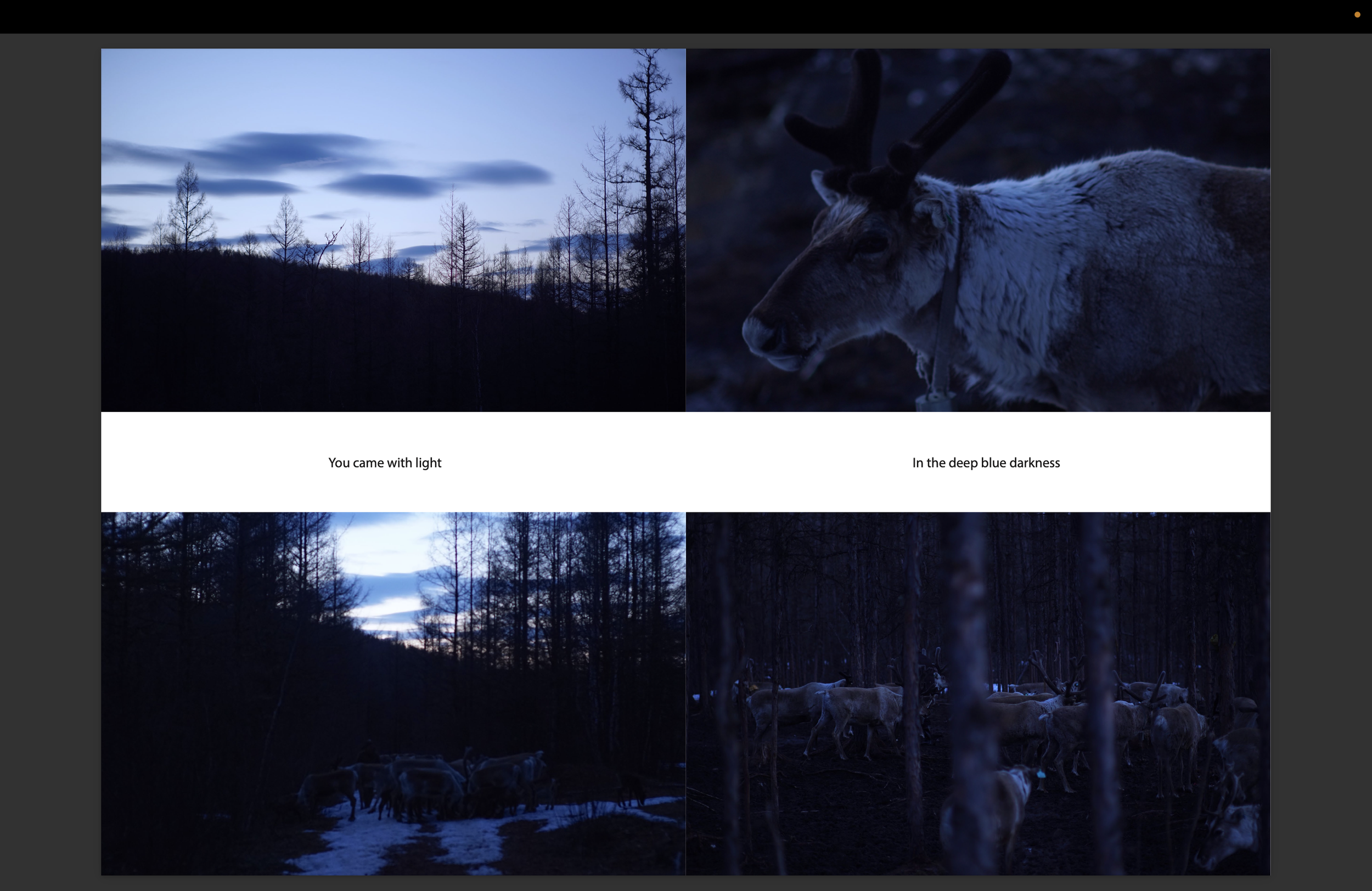 Screenshot 2026-02-04 at 16.49.36.png