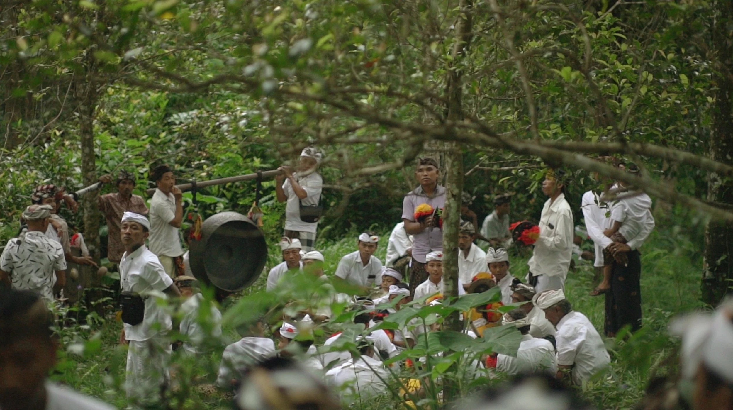 屏幕快照 2023-04-12 下午11.55.09.jpeg