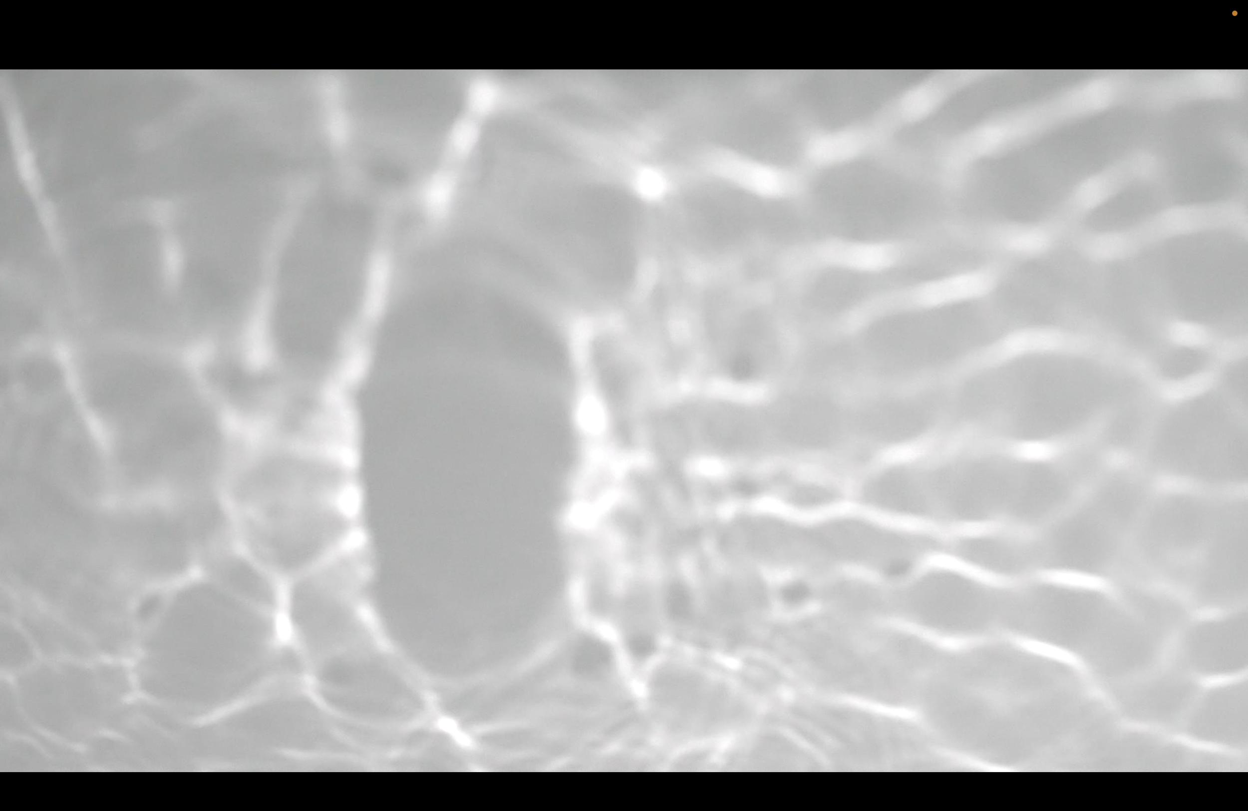 Screenshot 2026-02-05 at 12.44.38.png