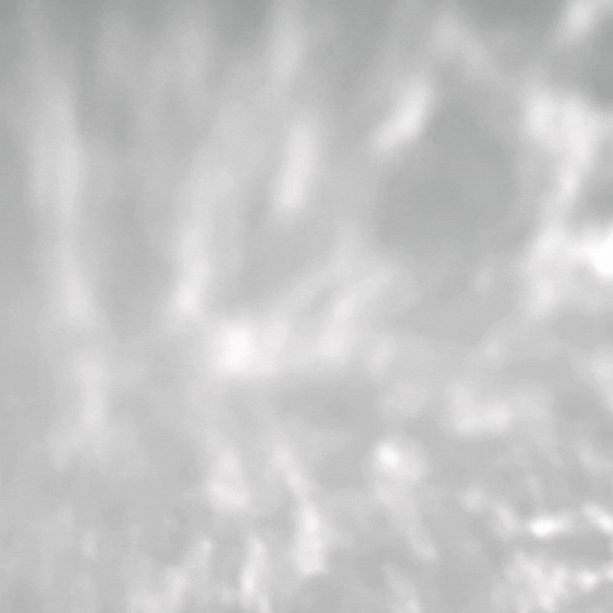 Untitled design (5).gif