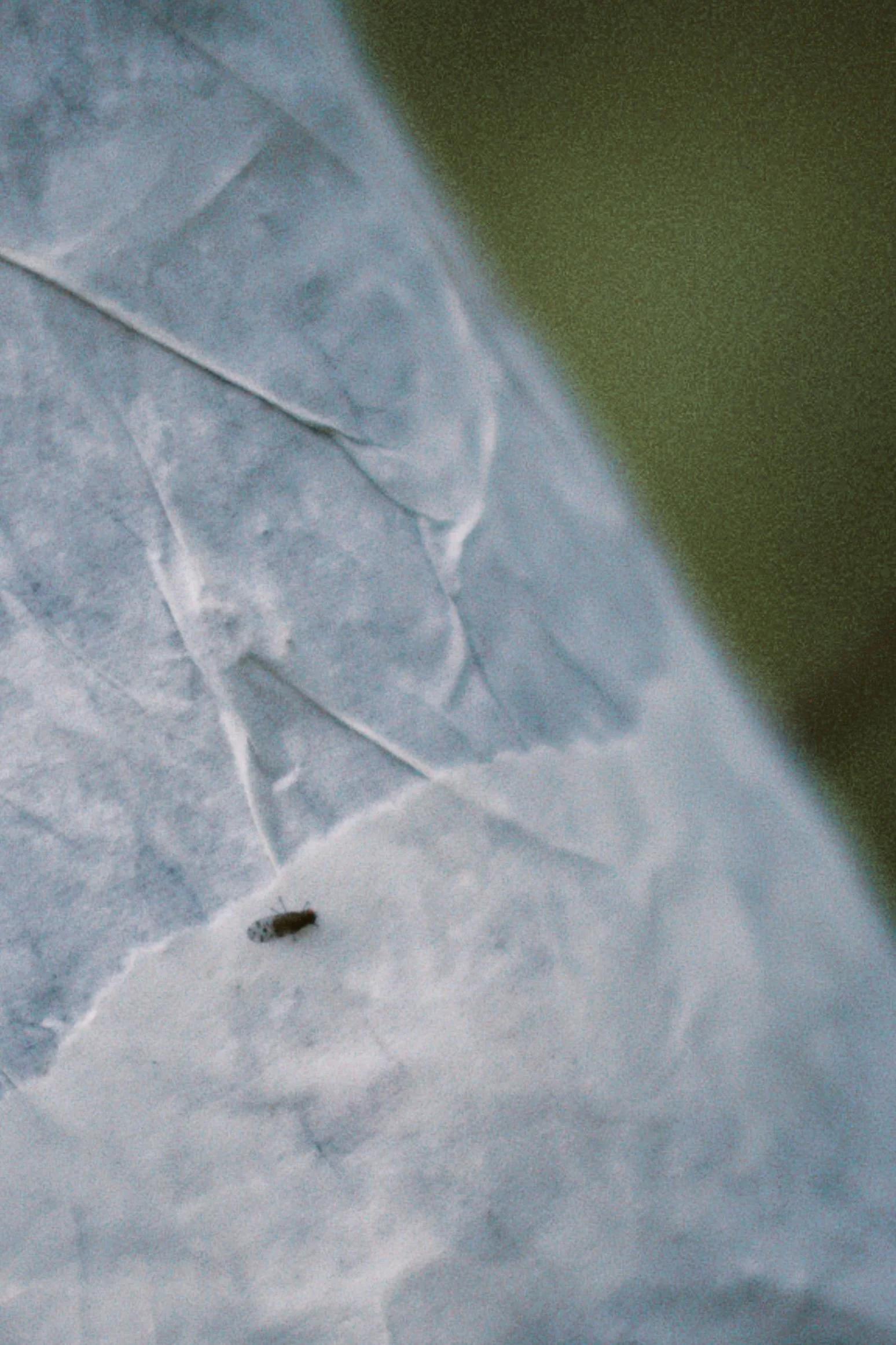 dfuns 2024-08-31 215929.582.jpg