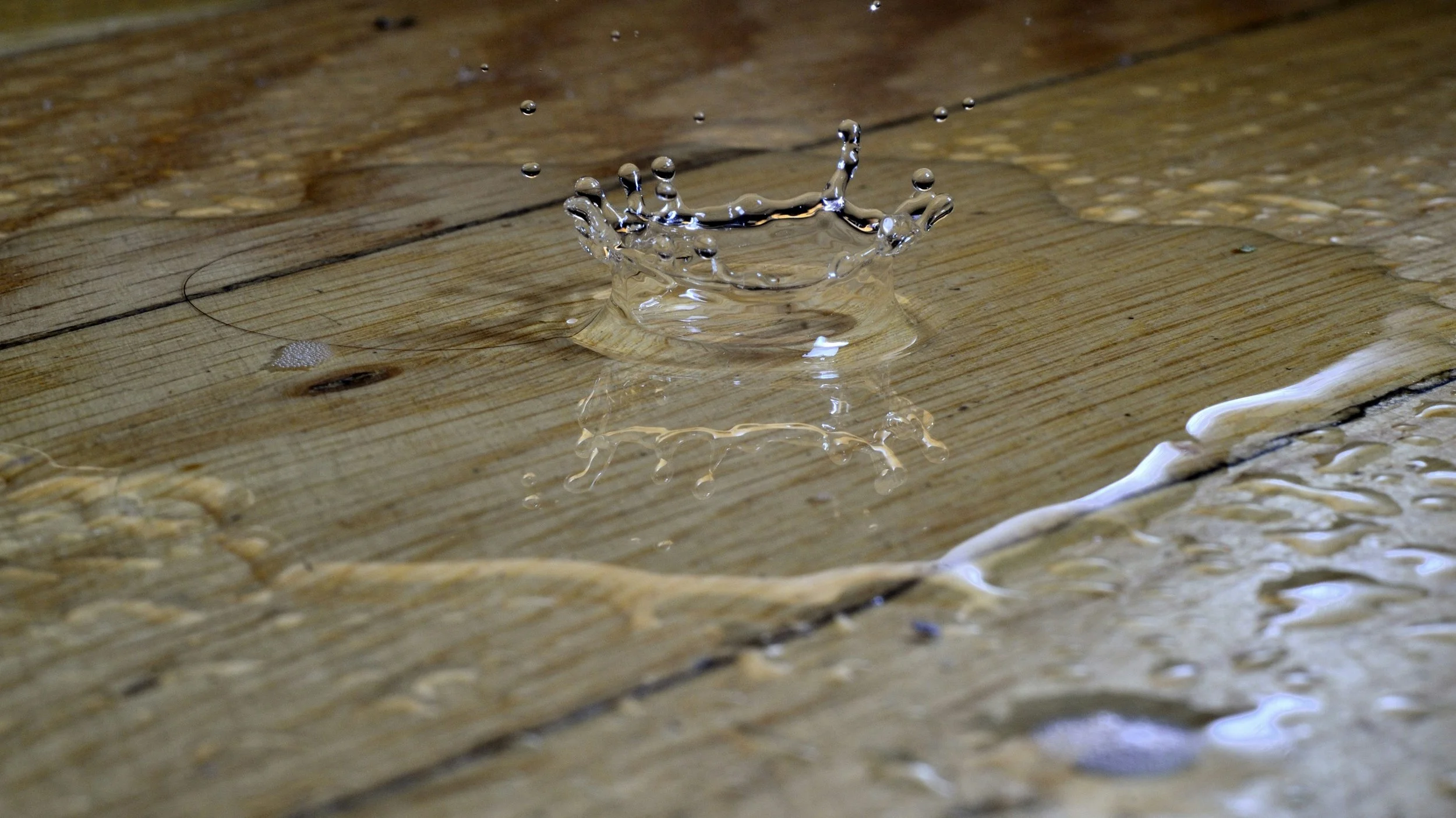 How to Prevent Water Damage in Your Home