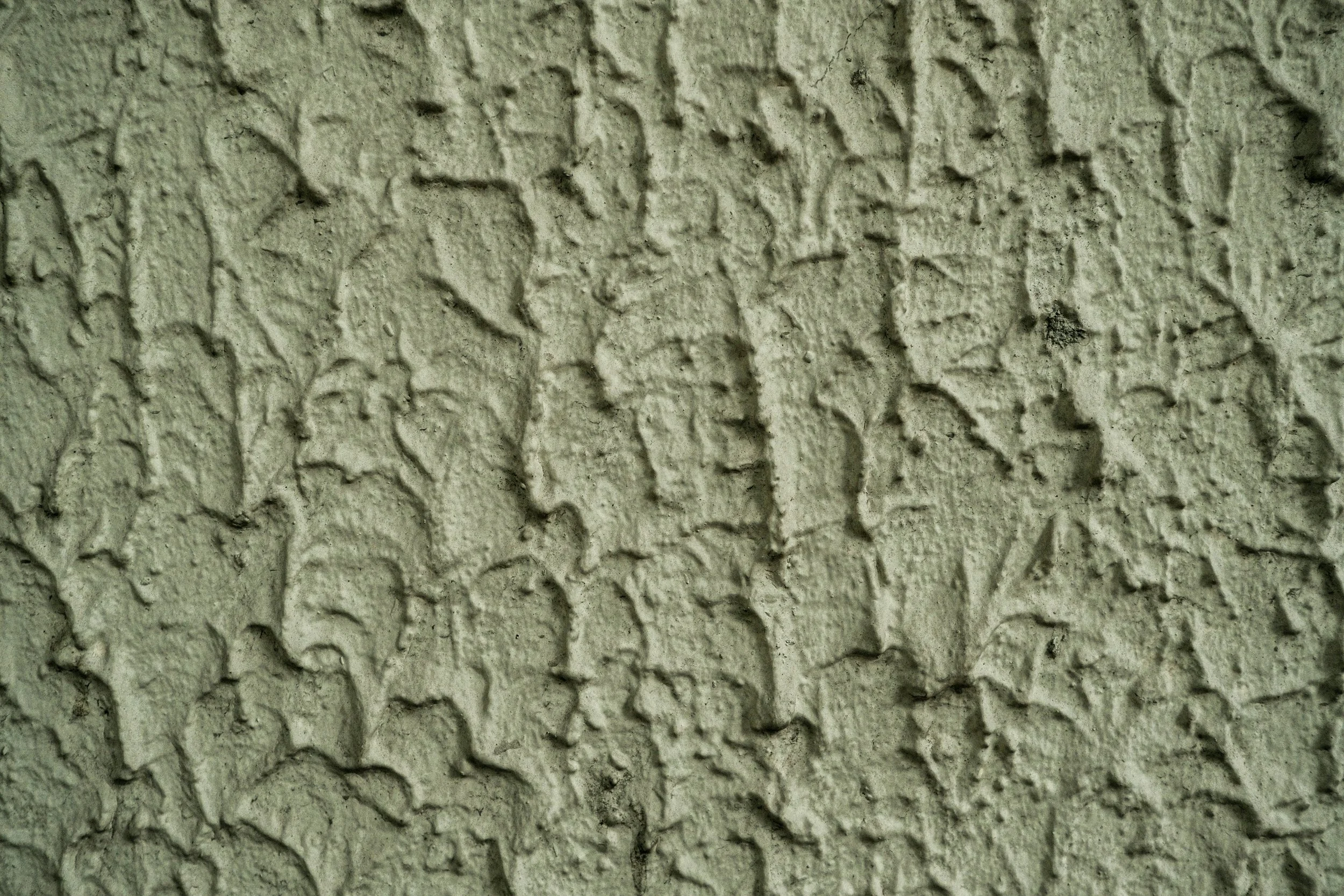 The Critical Role of Mold Remediation in Home Safety