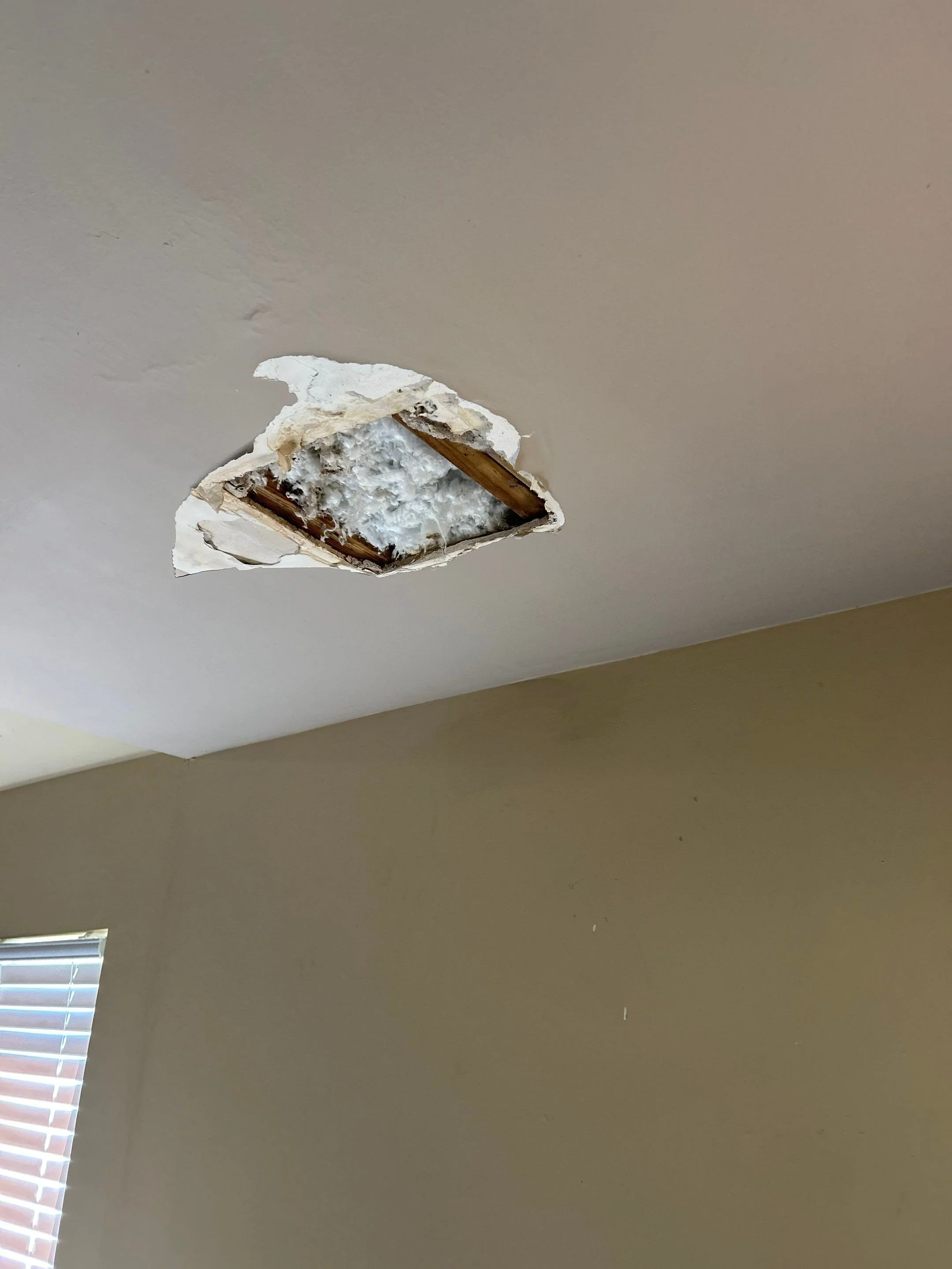 Ceiling with a hole showing damaged insulation and wooden beams.