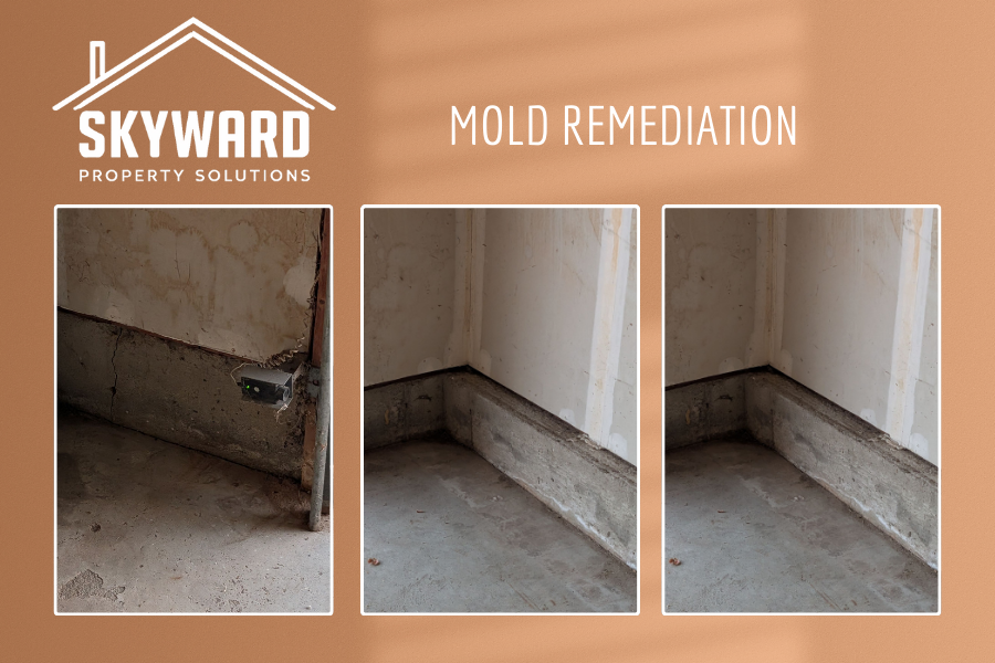 Triptych showing the process of mold remediation in a basement corner, before and after treatment, by Skyward Property Solutions.