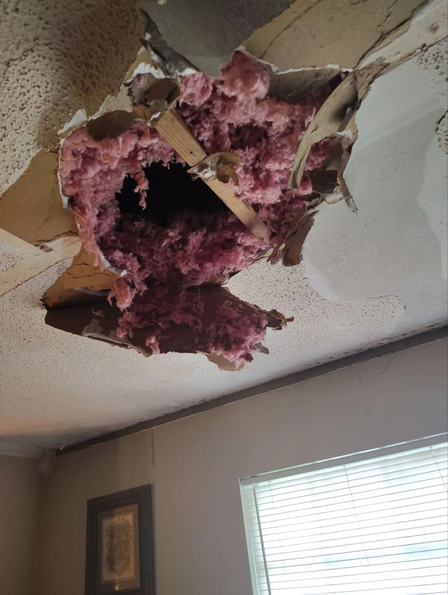 Ceiling with damaged drywall and pink insulation showing through a hole.