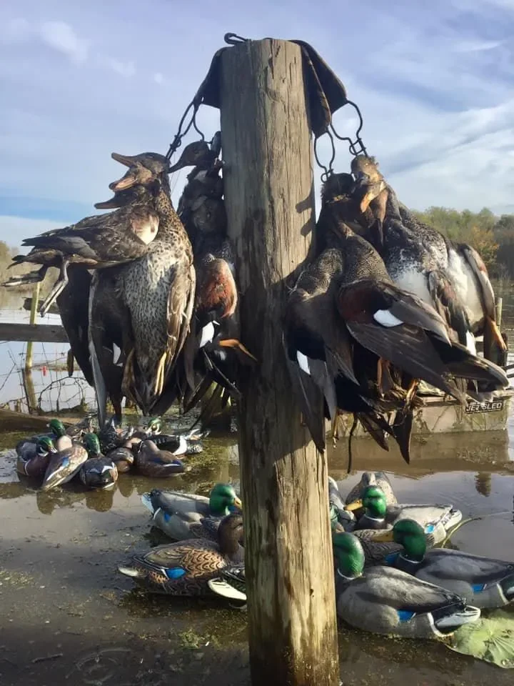 1-5182879899 (1).webp