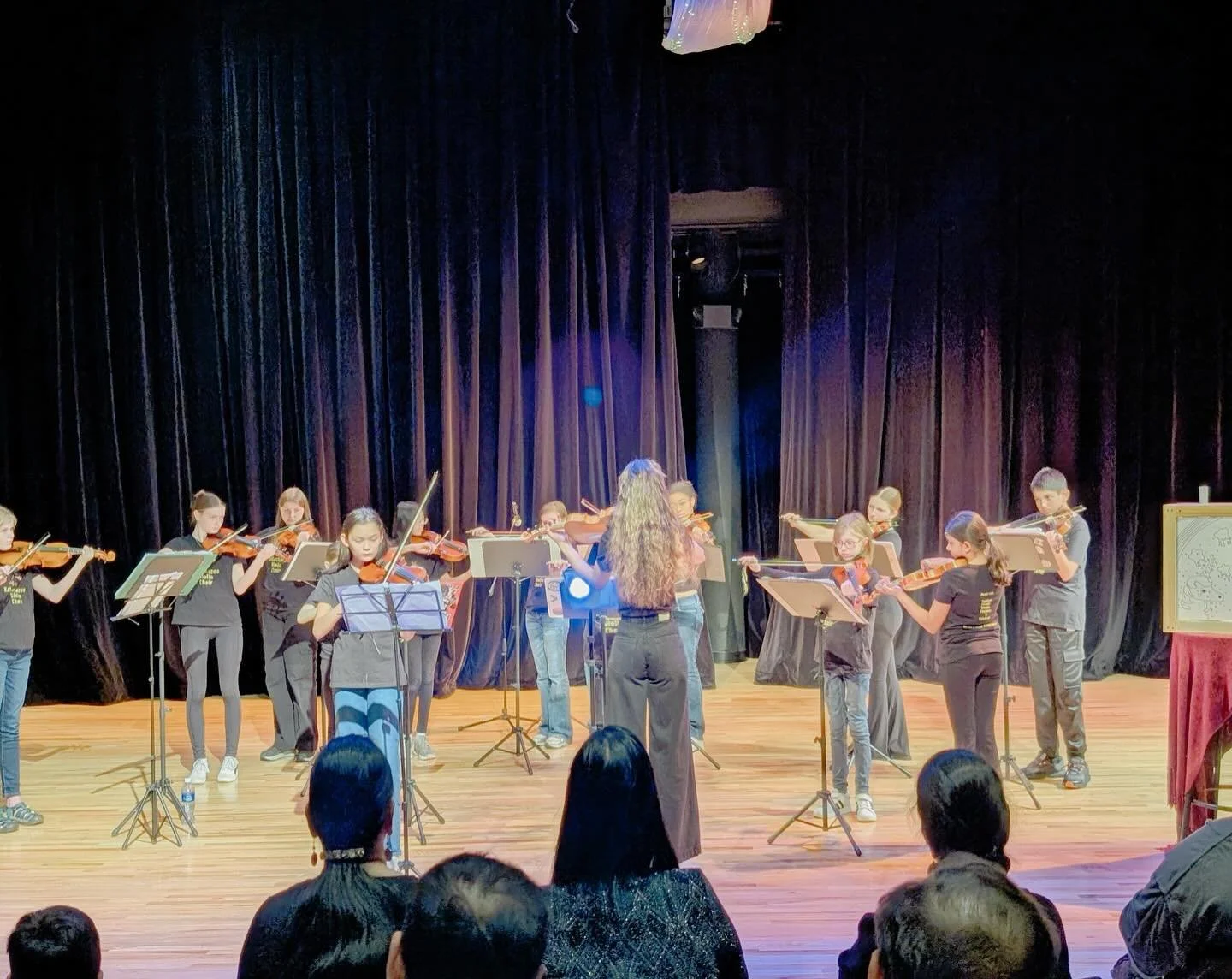 🌟Our hearts are overflowing with gratitude and joy after a magnificent weekend of performances for the Kalamazoo Violin Choir! We loved sharing our new musical story, and seeing so many supportive faces in the audience. 🎻✨

🌟A huge, heartfelt than