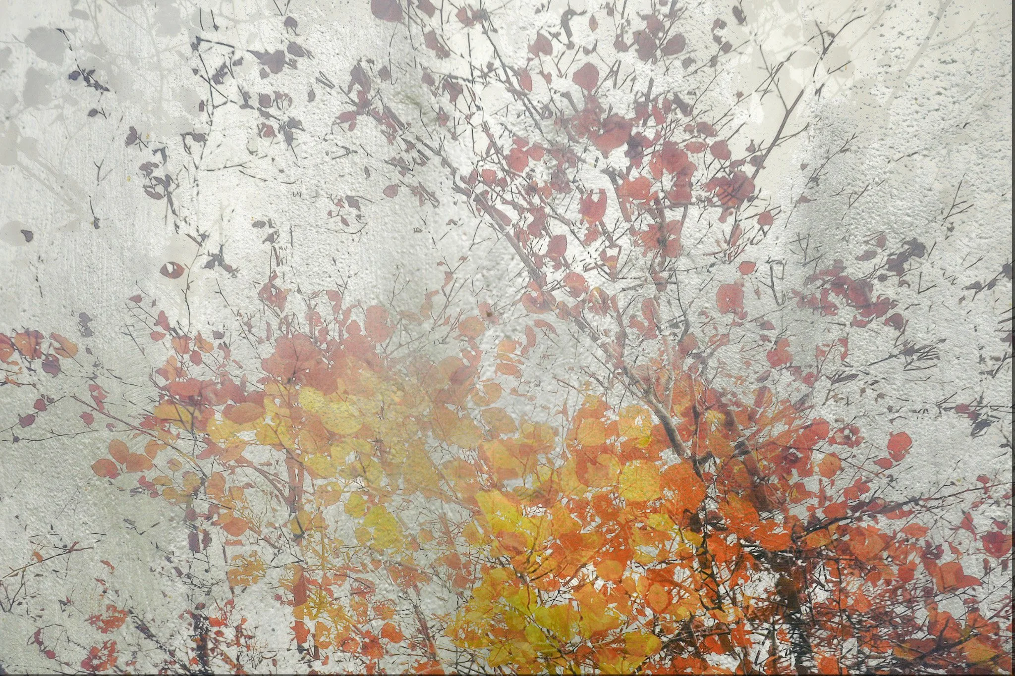A close-up view of tree branches with orange, yellow, and brown fall leaves against a textured light gray background.