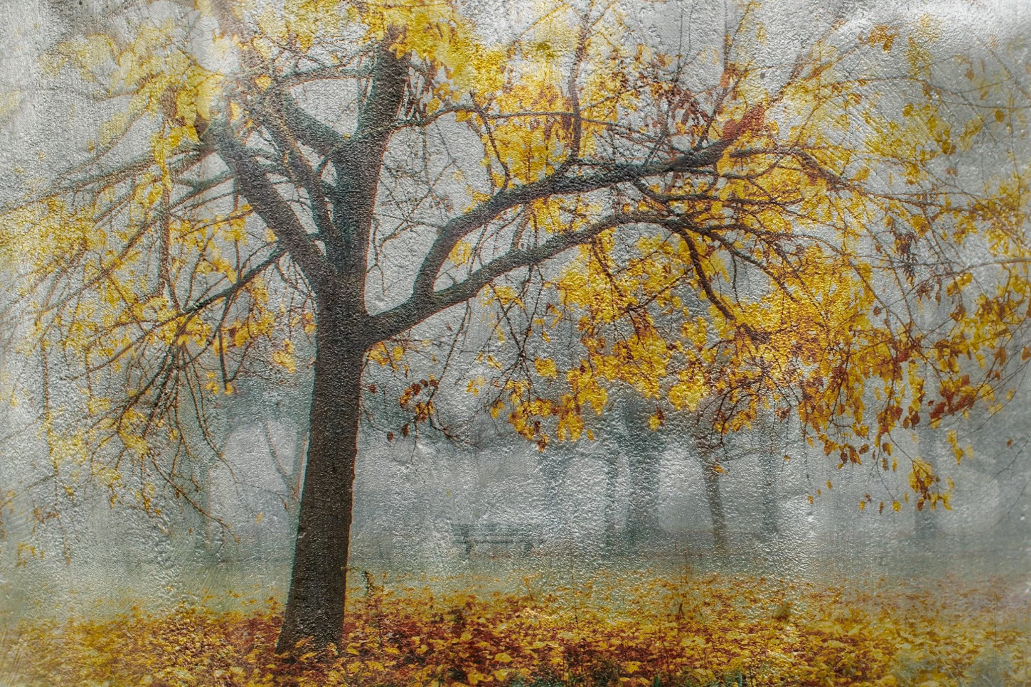 A tree with yellow autumn leaves on its branches, standing in a foggy park with fallen leaves on the ground and other trees faintly visible in the background.