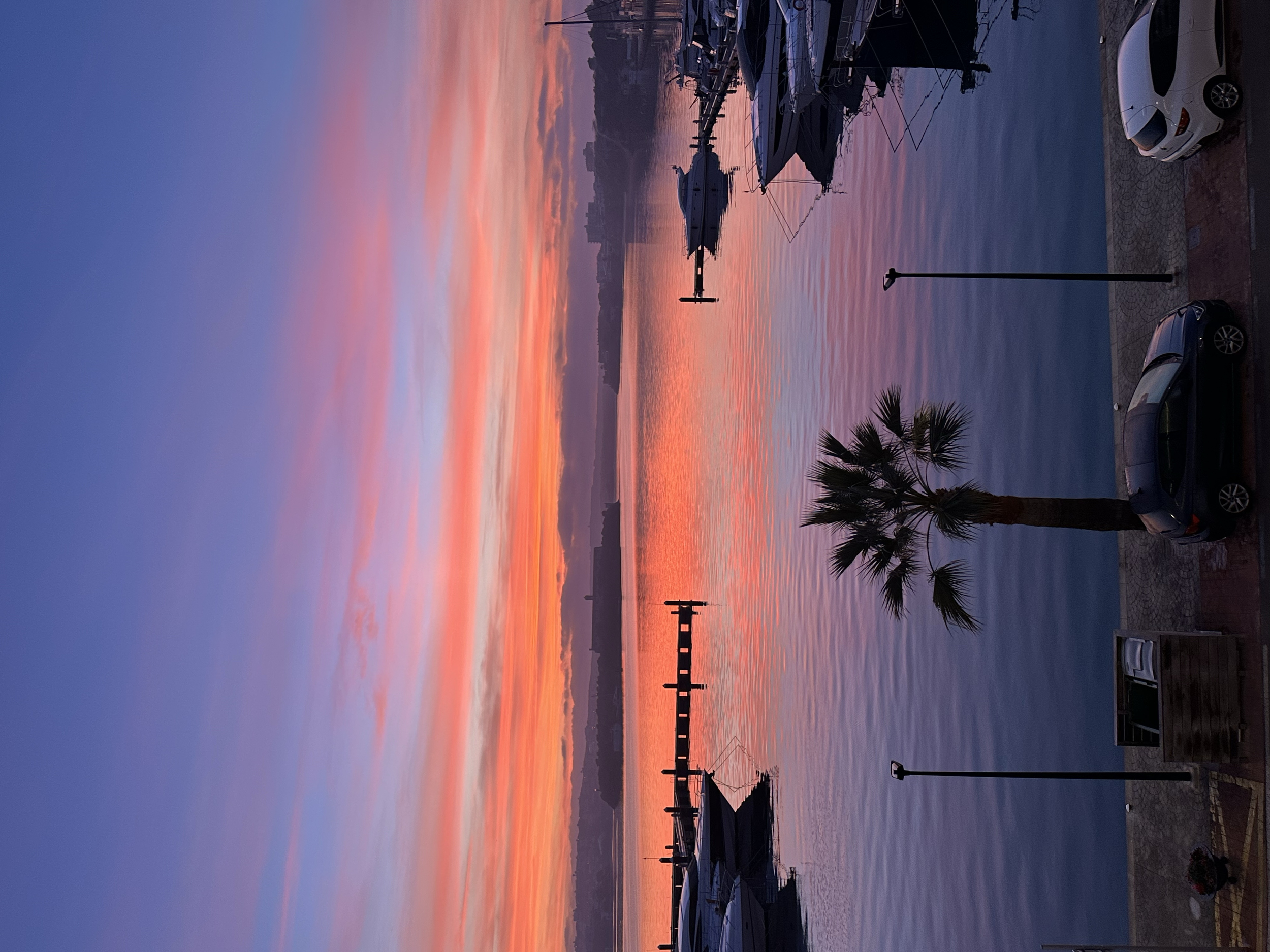 Atardecer en un puerto con barcos y yates, las nubes y el mar reflejan tonos rosados y azules, hay un árbol de palma, varios coches y farolas en la orilla.