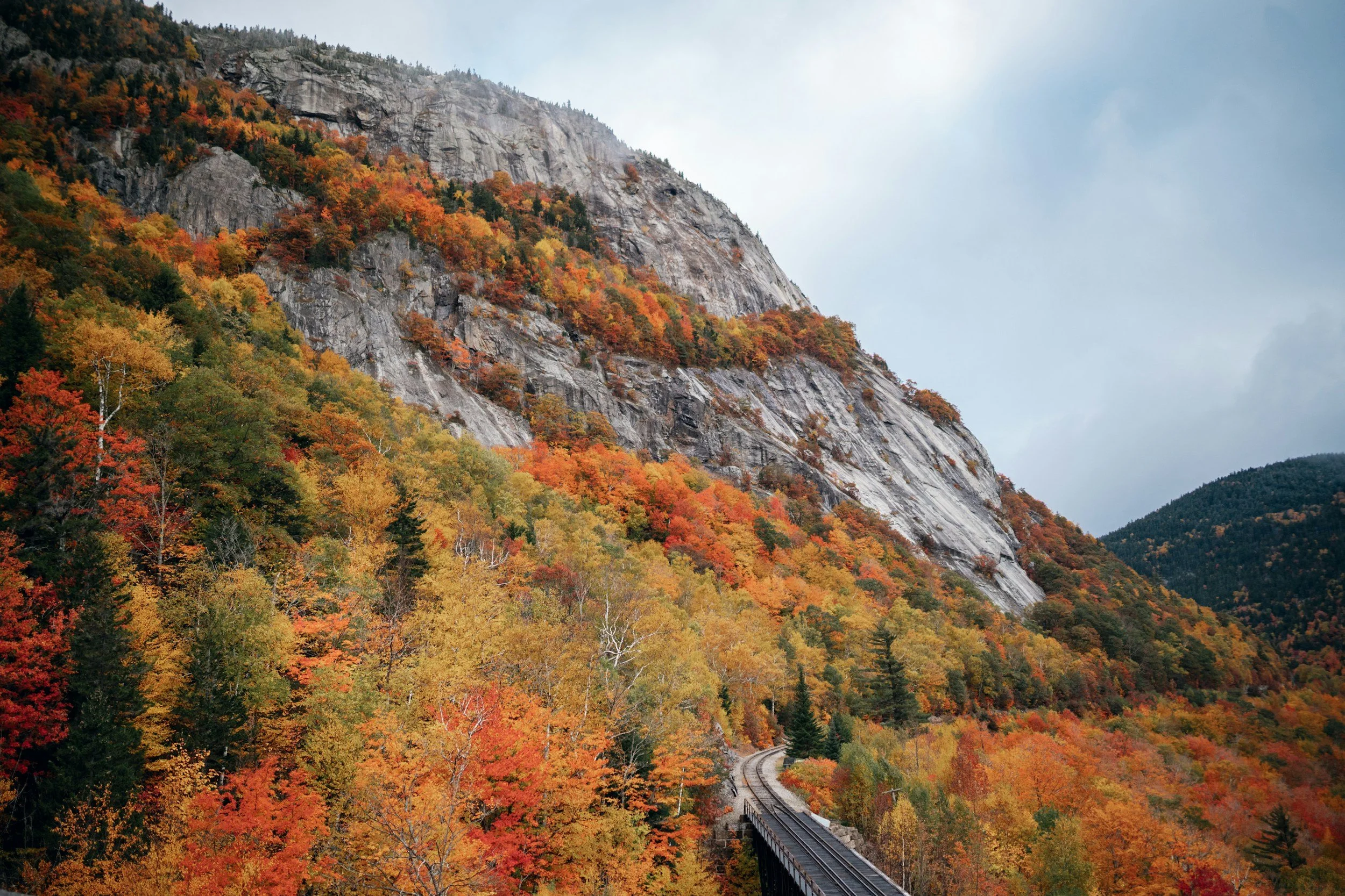 A scenic view of a mountain covered in vibrant fall foliage, with a railway track curving through the colorful trees.