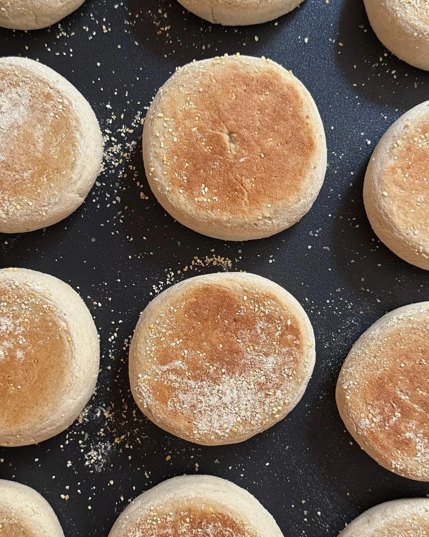 Pre-orders for September 17th pickup are now open on Hotplate ✨

Gluten-free English muffins and Brioche are on the menu this week. Everything is prepared with care in a dedicated gluten-free kitchen.

English muffins &mdash; packs of 5

Pre-orders c