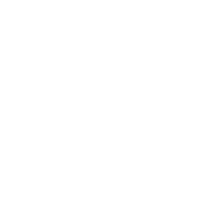 Icône d'un éclair blanc sur fond noir.