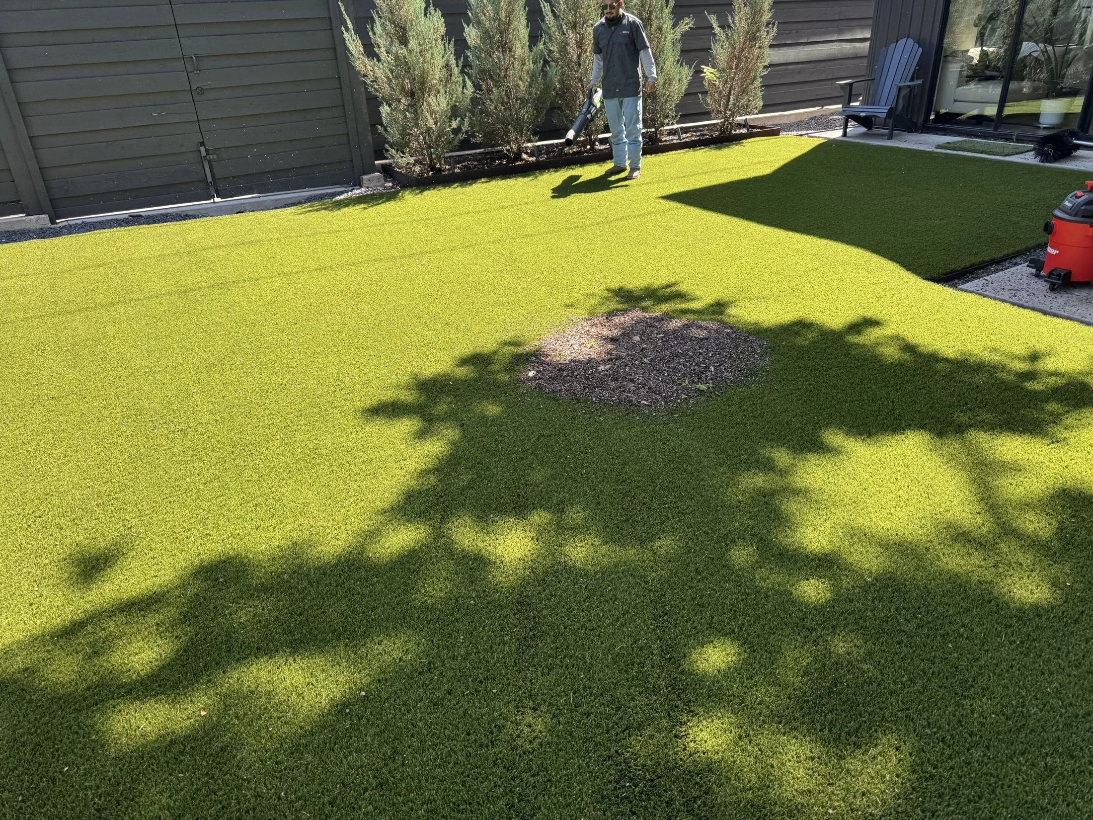 Organic debris removed from deep in artificial turf fibers during professional cleaning, East Dallas