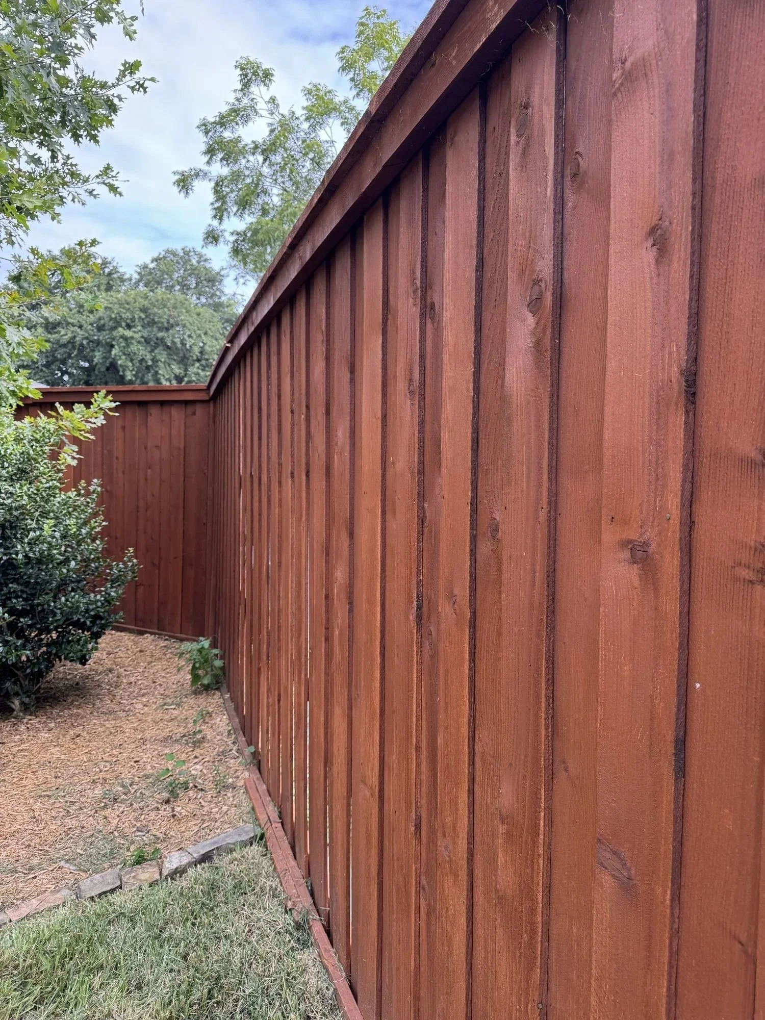 Semi-transparent oil-based stain showing the natural cedar grain, Dallas fence