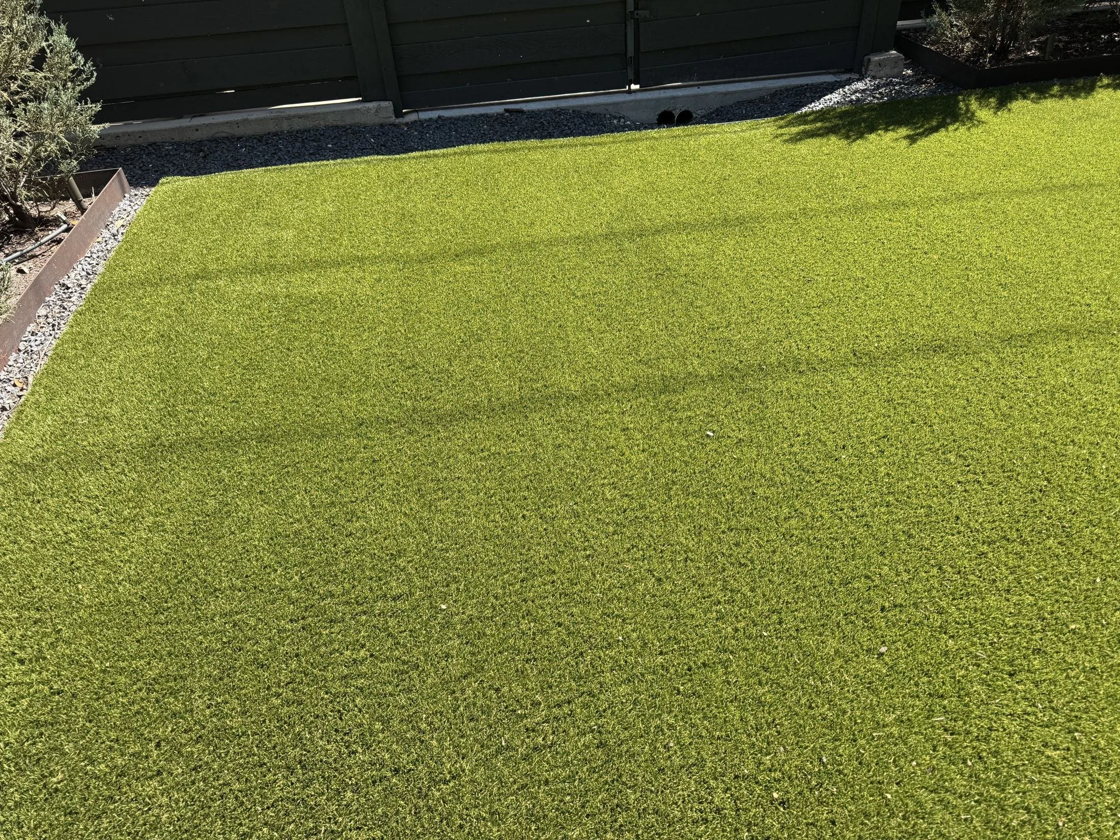 Artificial pet turf backyard after Spotlite deep cleaning and sanitizing, Dallas