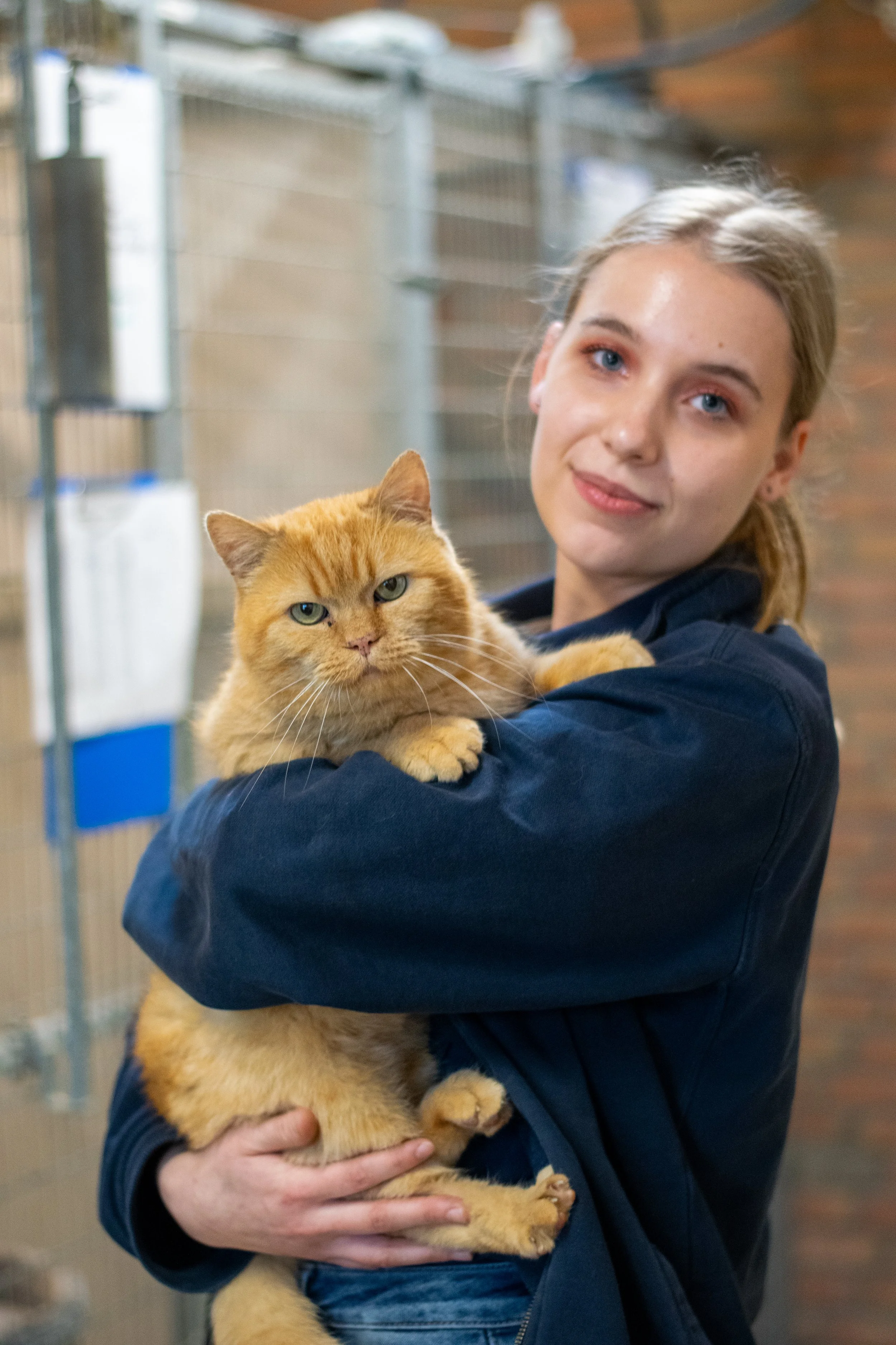 Bedrijfsreportage bij Dierenzorg Eemland