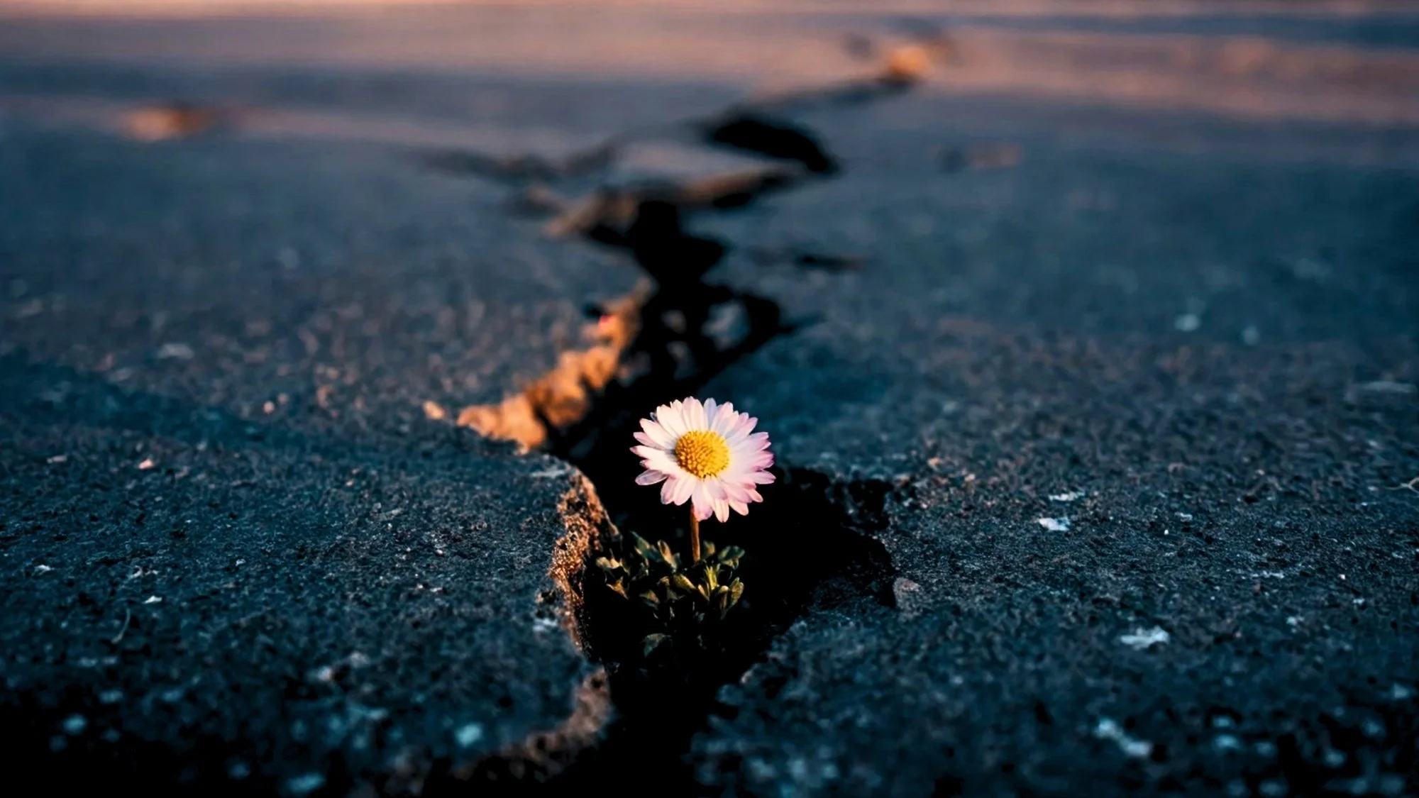 Finding Courage When You’re Afraid