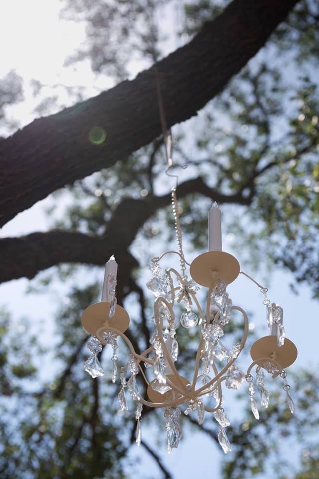 A small chandelier with dangling crystal ornaments hanging from a tree branch outdoors, with a blue sky and blurred tree leaves in the background.