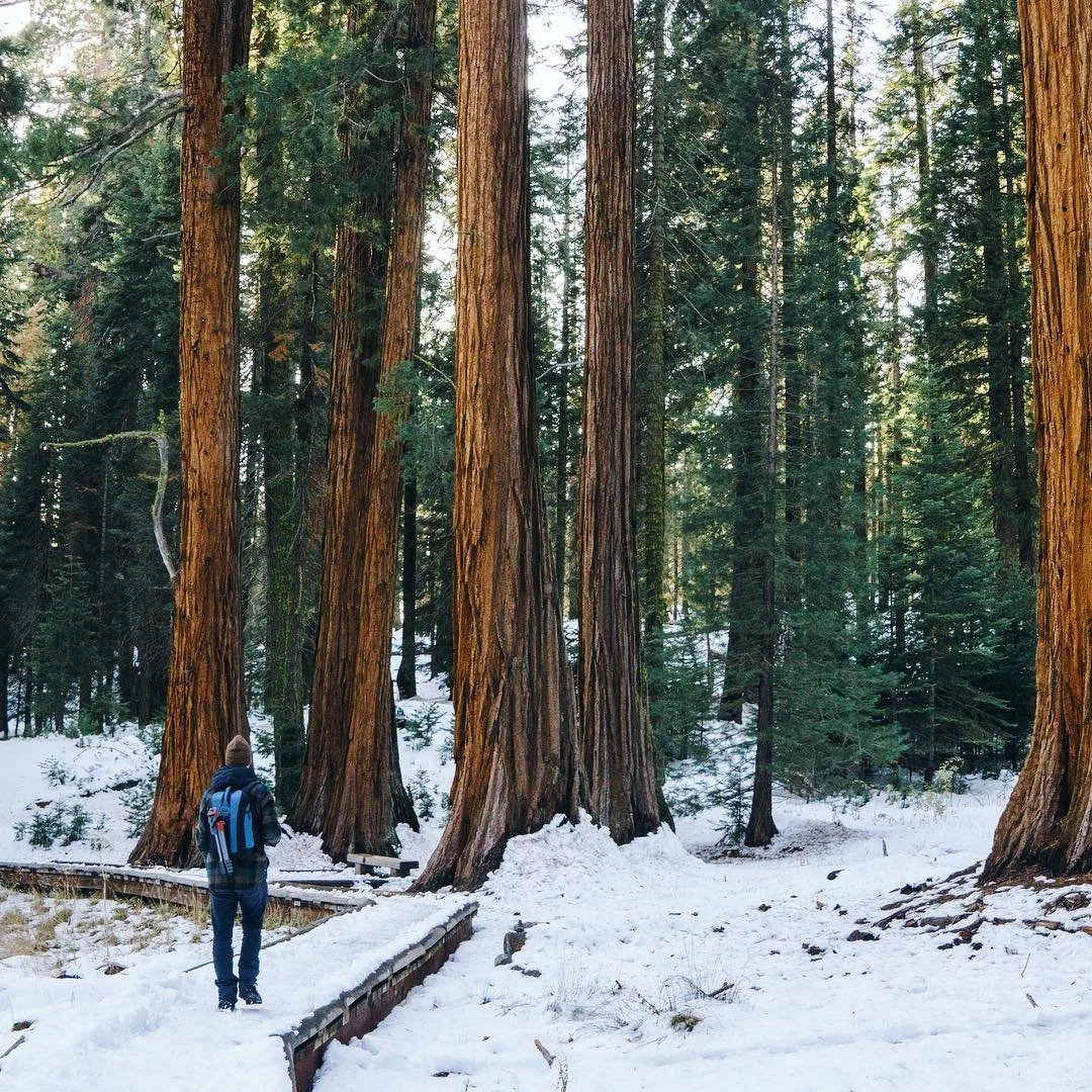 Happy Holidays everybody!