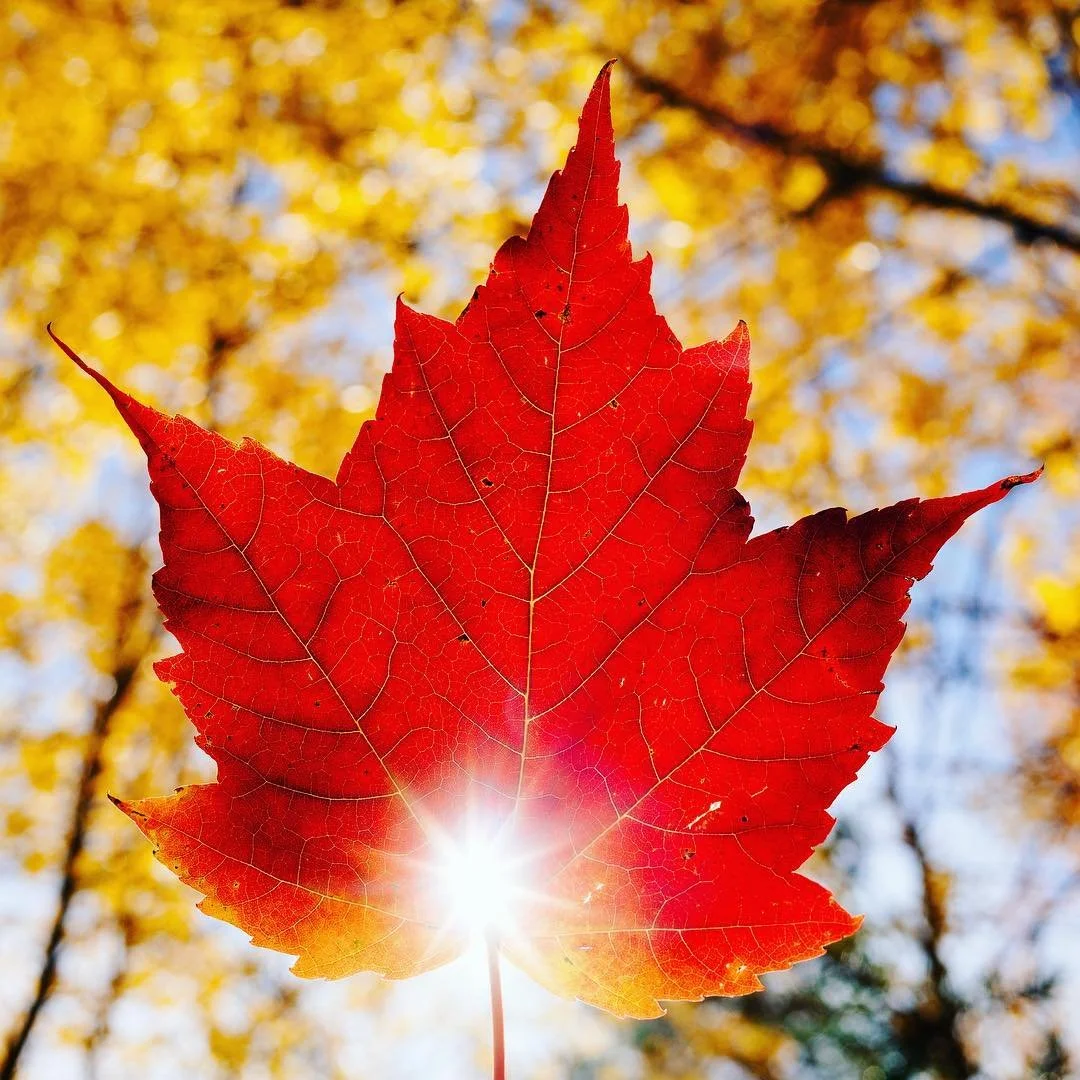 We&rsquo;ve come to the end of a wonderful trip!  See you next time Canada 🇨🇦